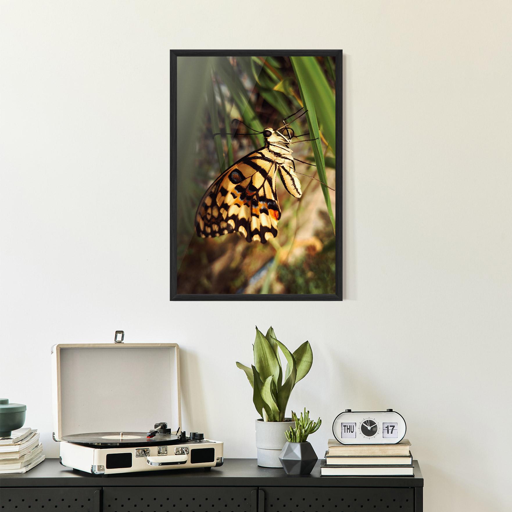 Poster Înrămat Wild Brown Butterfly mockup 2