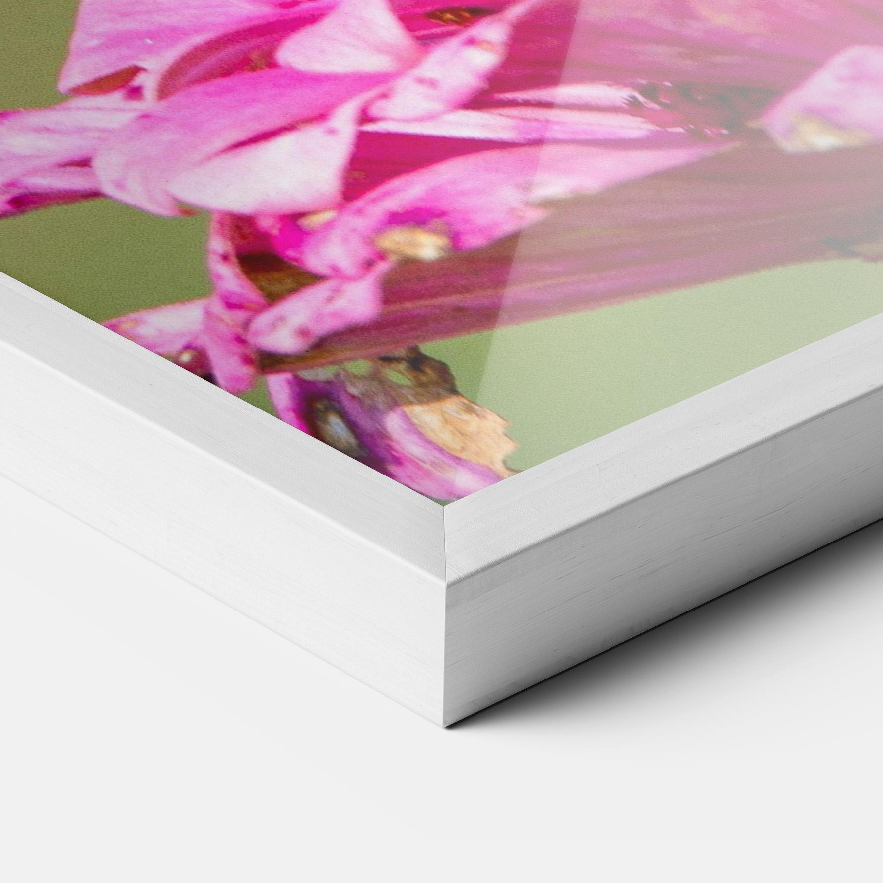 Poster Înrămat Blue Grey Butterfly mockup 3