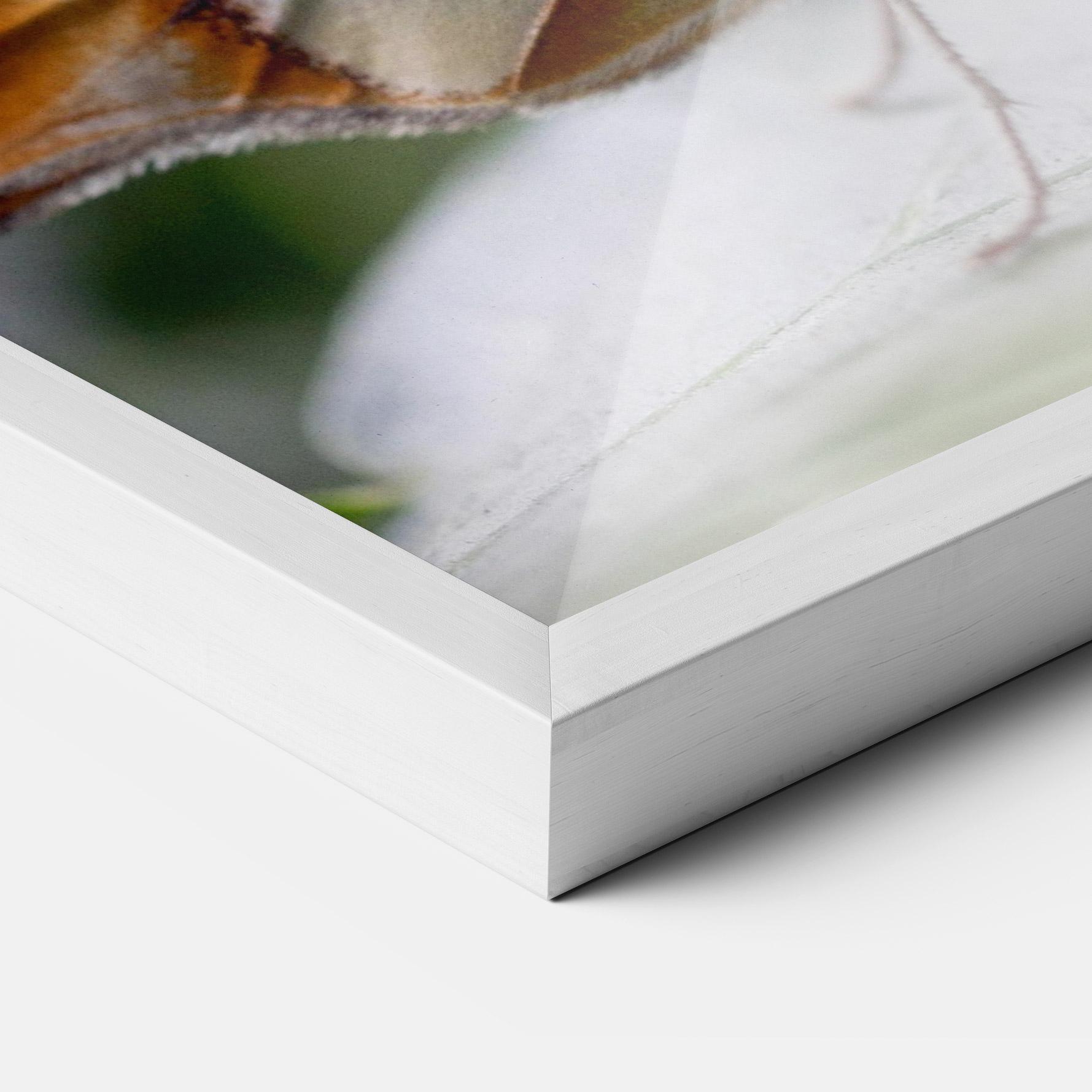 Poster Înrămat Brown Yellow Butterfly mockup 3