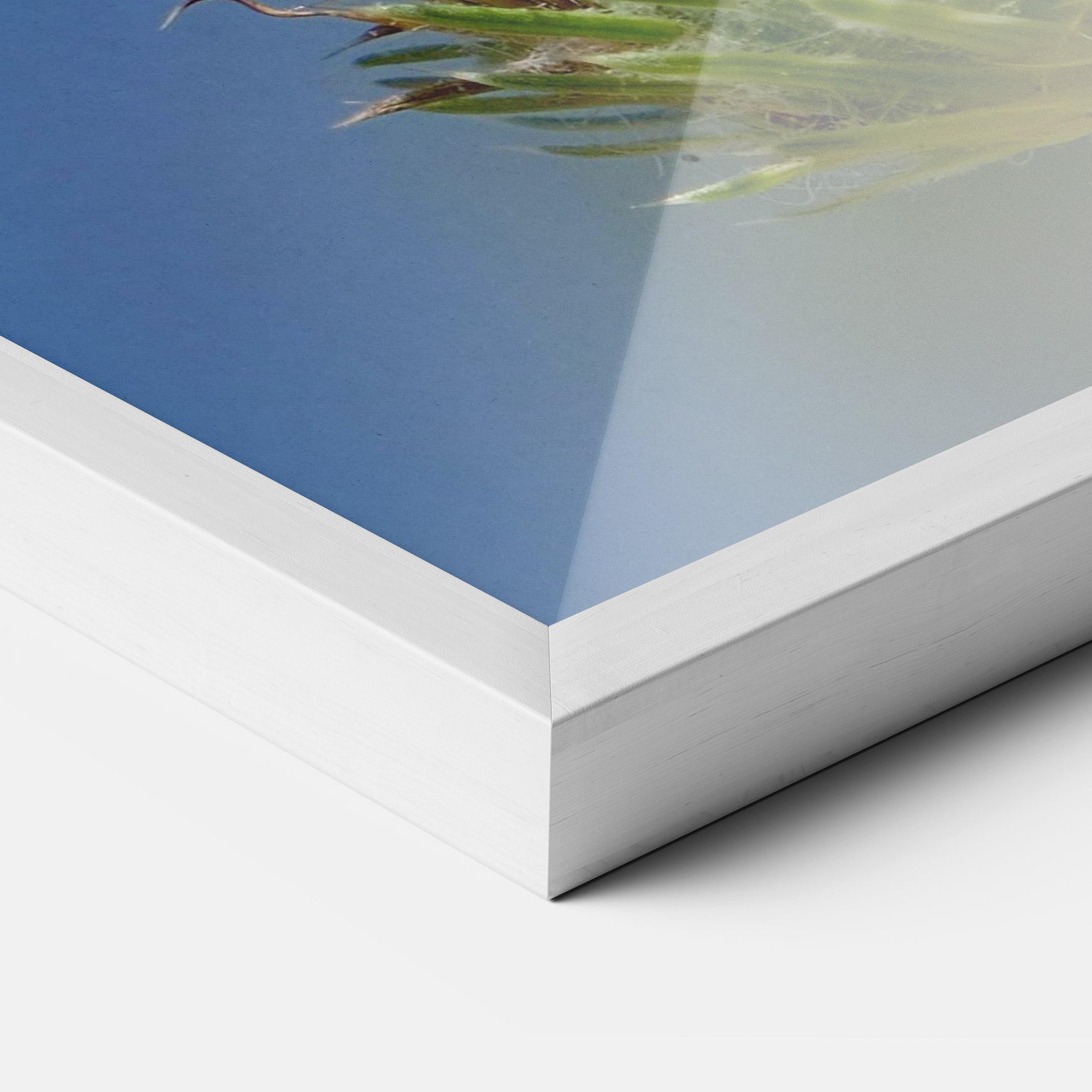 Poster Înrămat Grey White Butterfly mockup 3