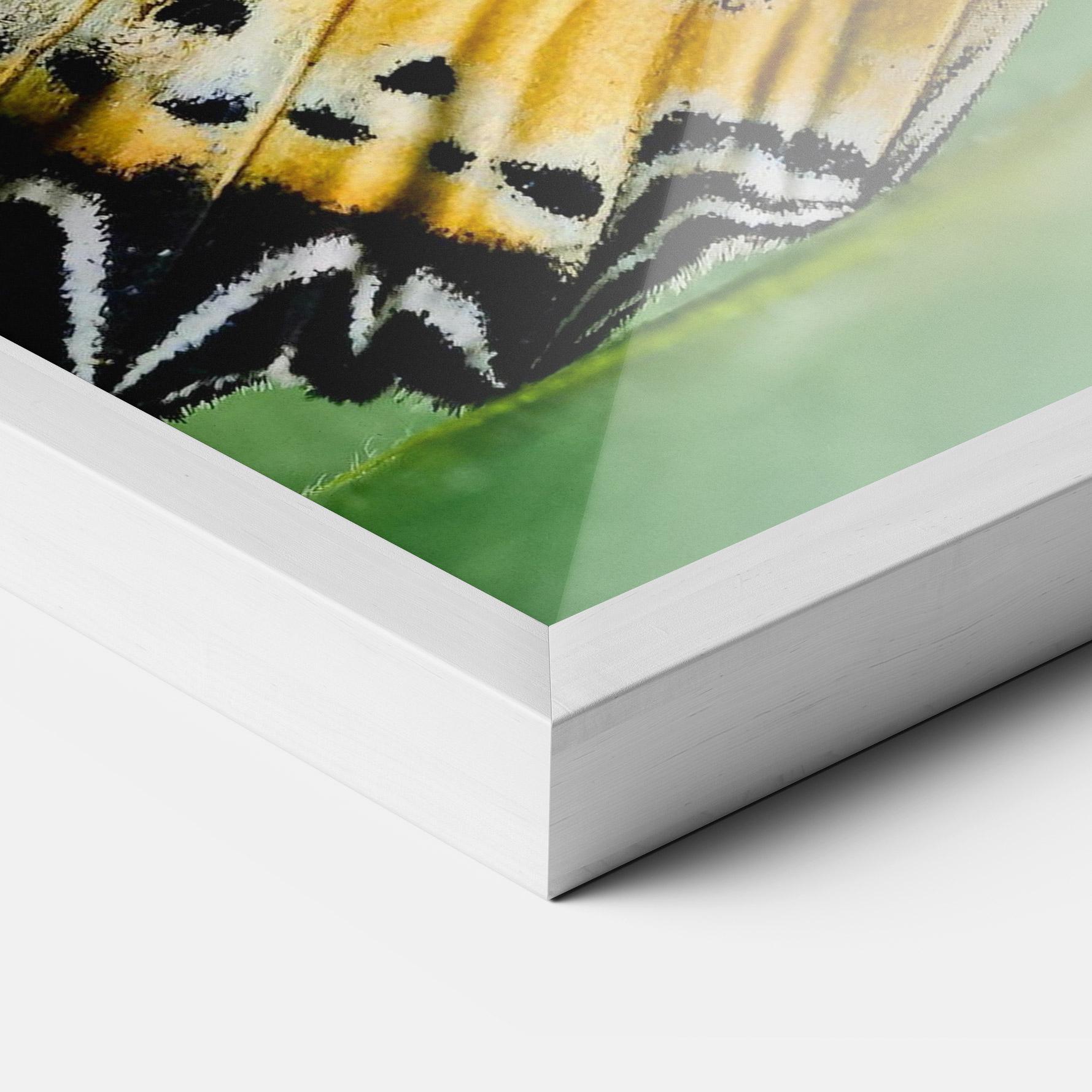 Poster Înrămat Pretty Colorful Butterfly mockup 3