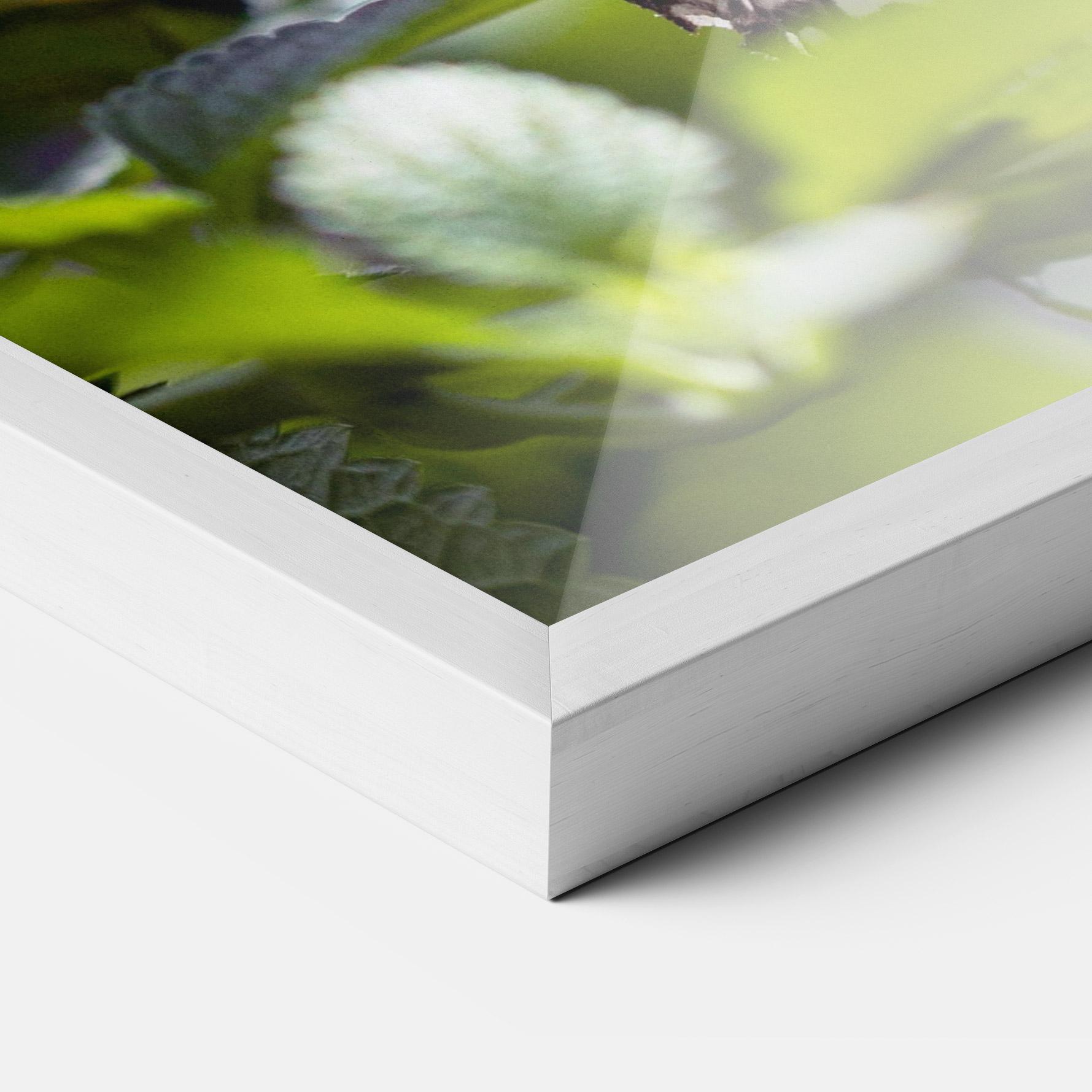 Poster Înrămat White Black Butterfly mockup 3