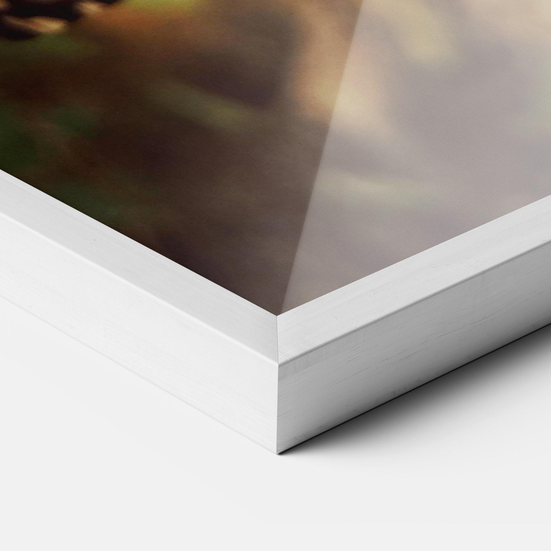 Poster Înrămat Wild Brown Butterfly mockup 3