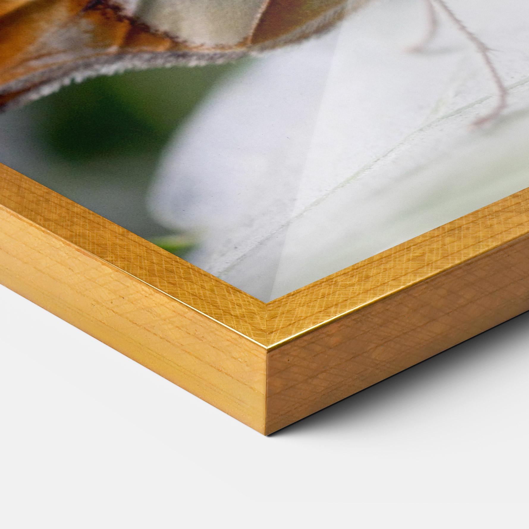 Poster Înrămat Brown Yellow Butterfly mockup 3