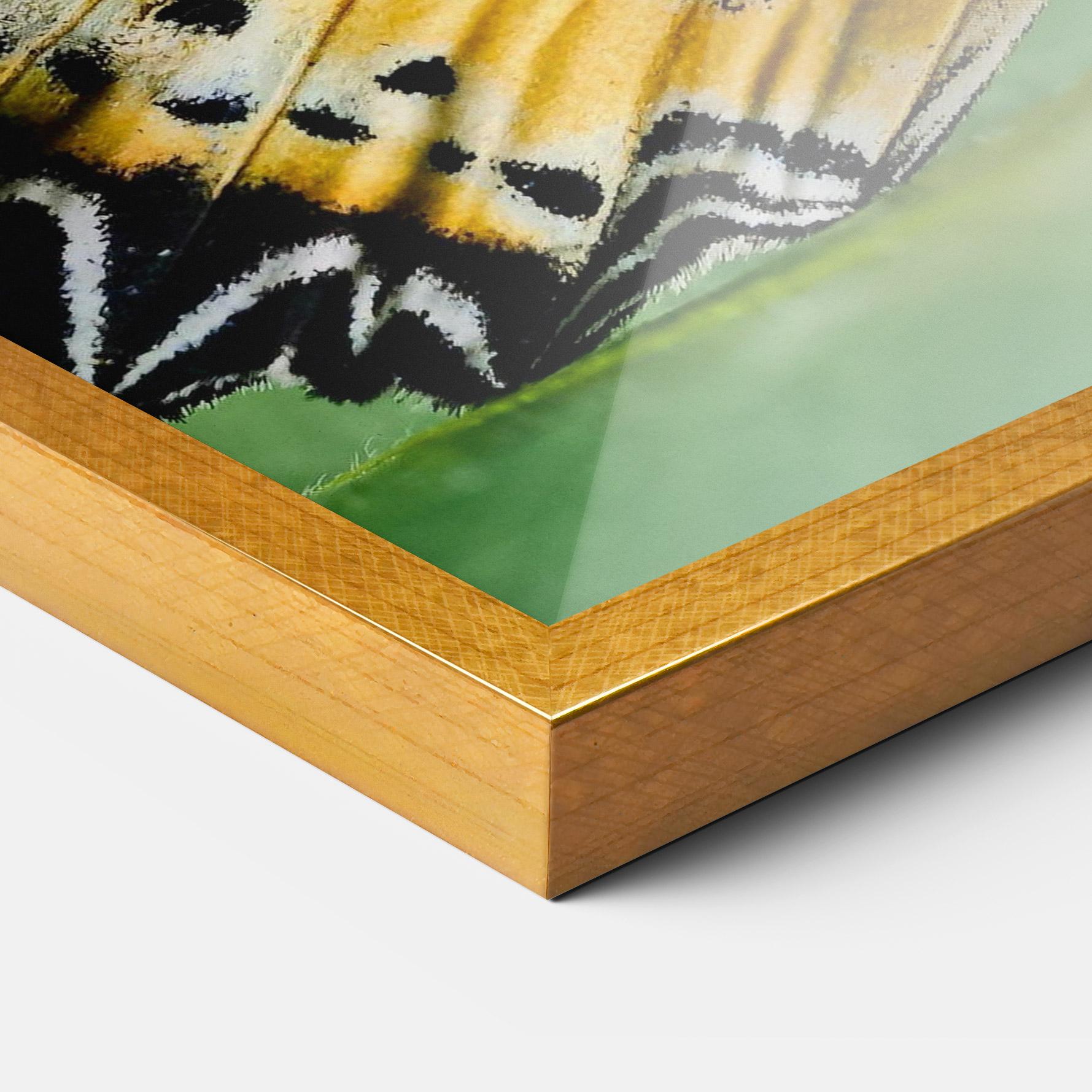 Poster Înrămat Pretty Colorful Butterfly mockup 3