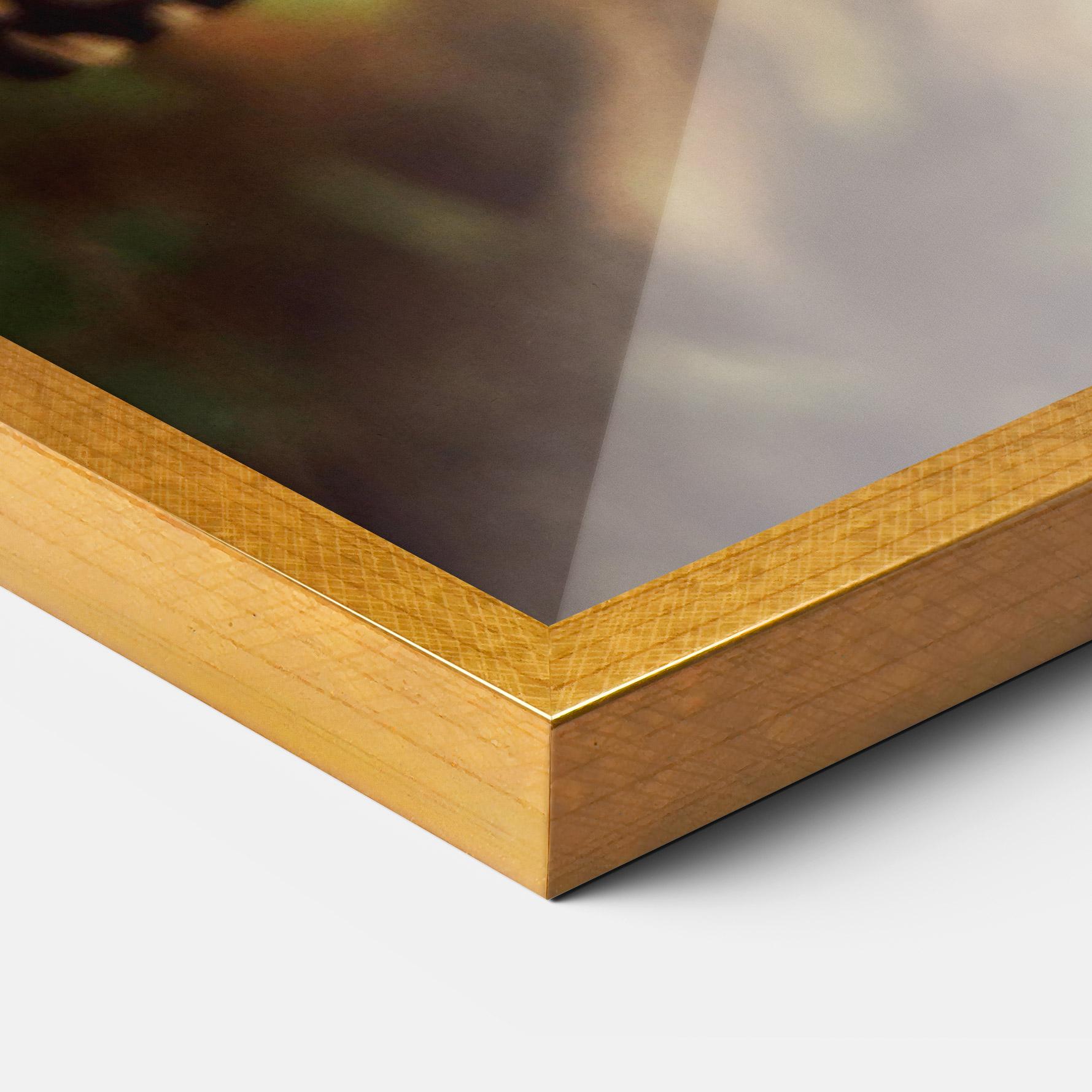 Poster Înrămat Wild Brown Butterfly mockup 3