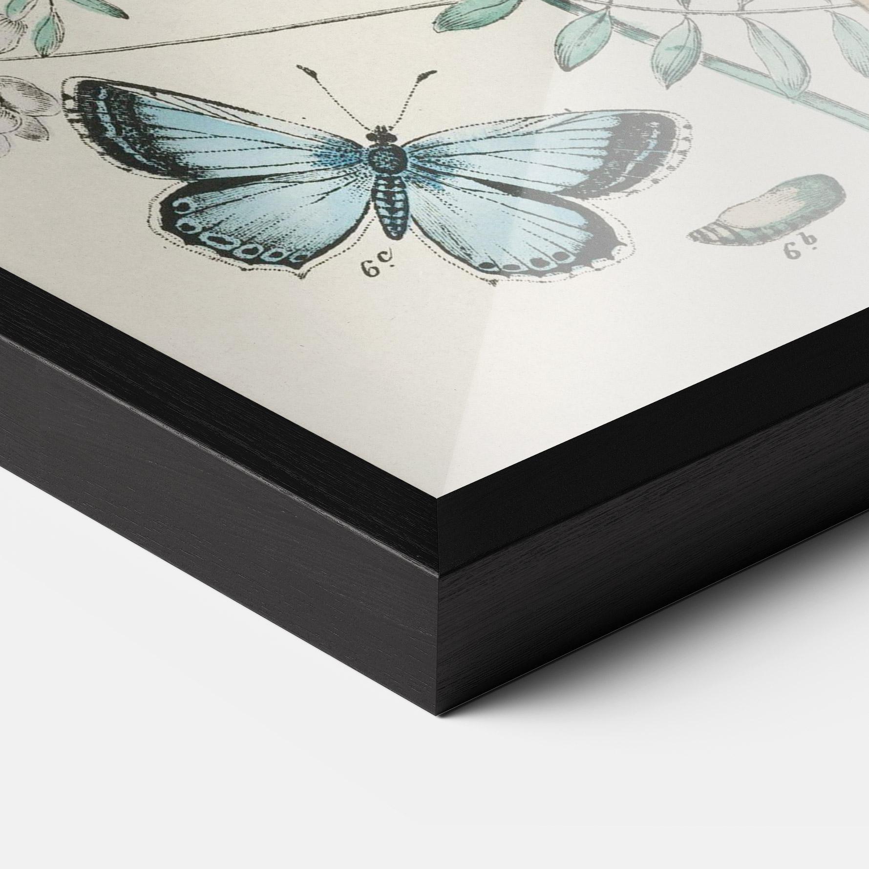 Poster Înrămat Blue Orange Butterflies mockup 3