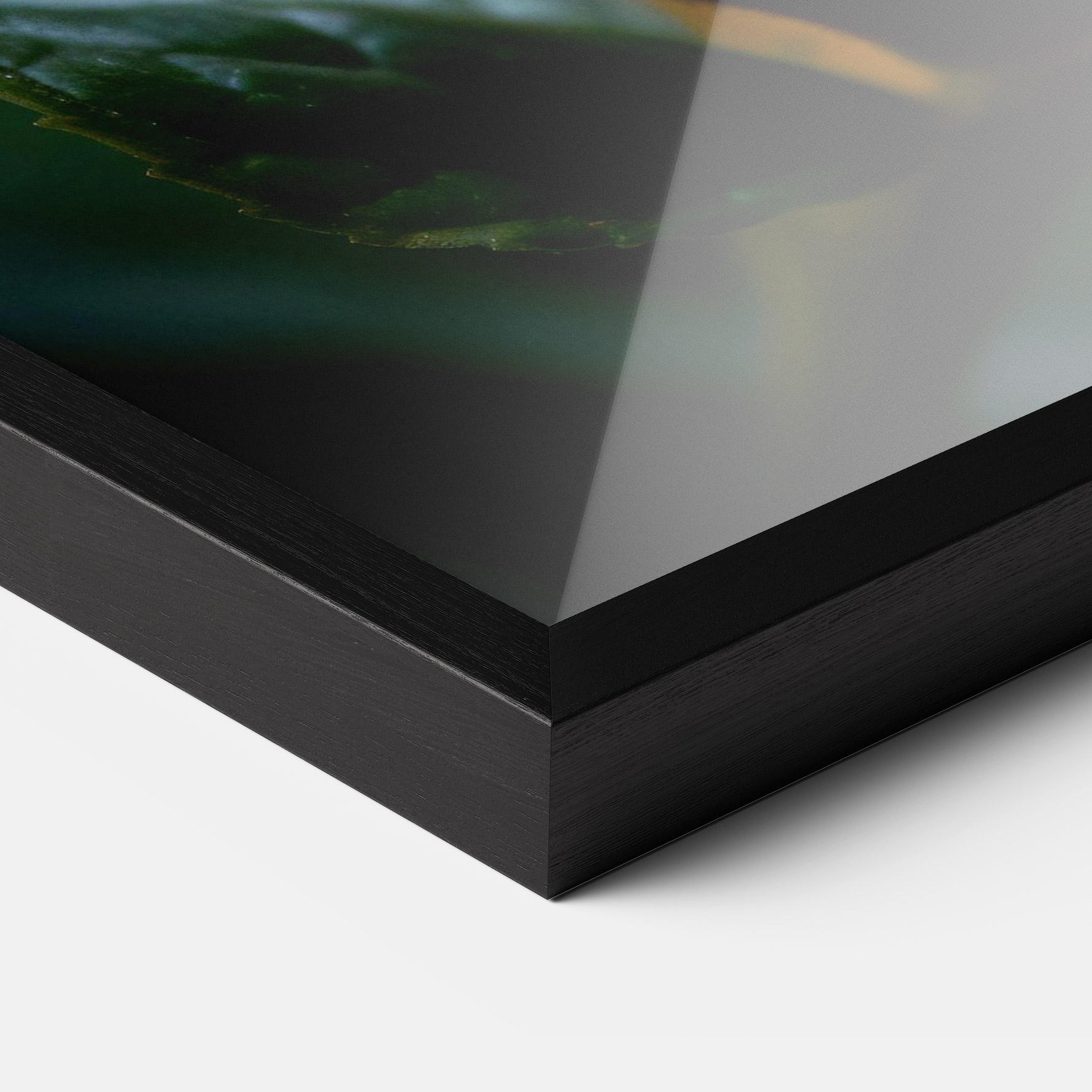 Poster Înrămat Blue Red Butterfly mockup 3