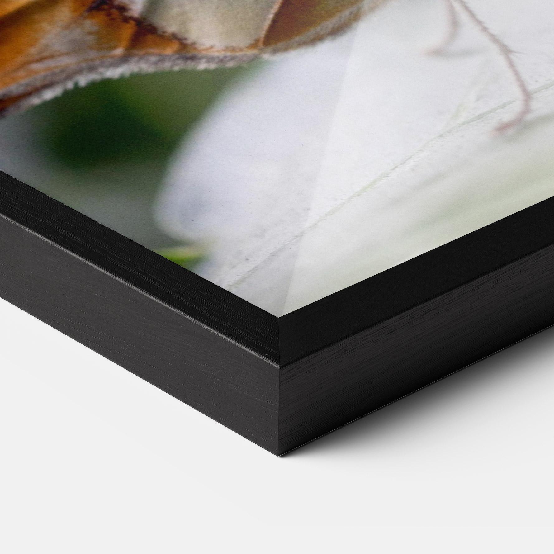 Poster Înrămat Brown Yellow Butterfly mockup 3