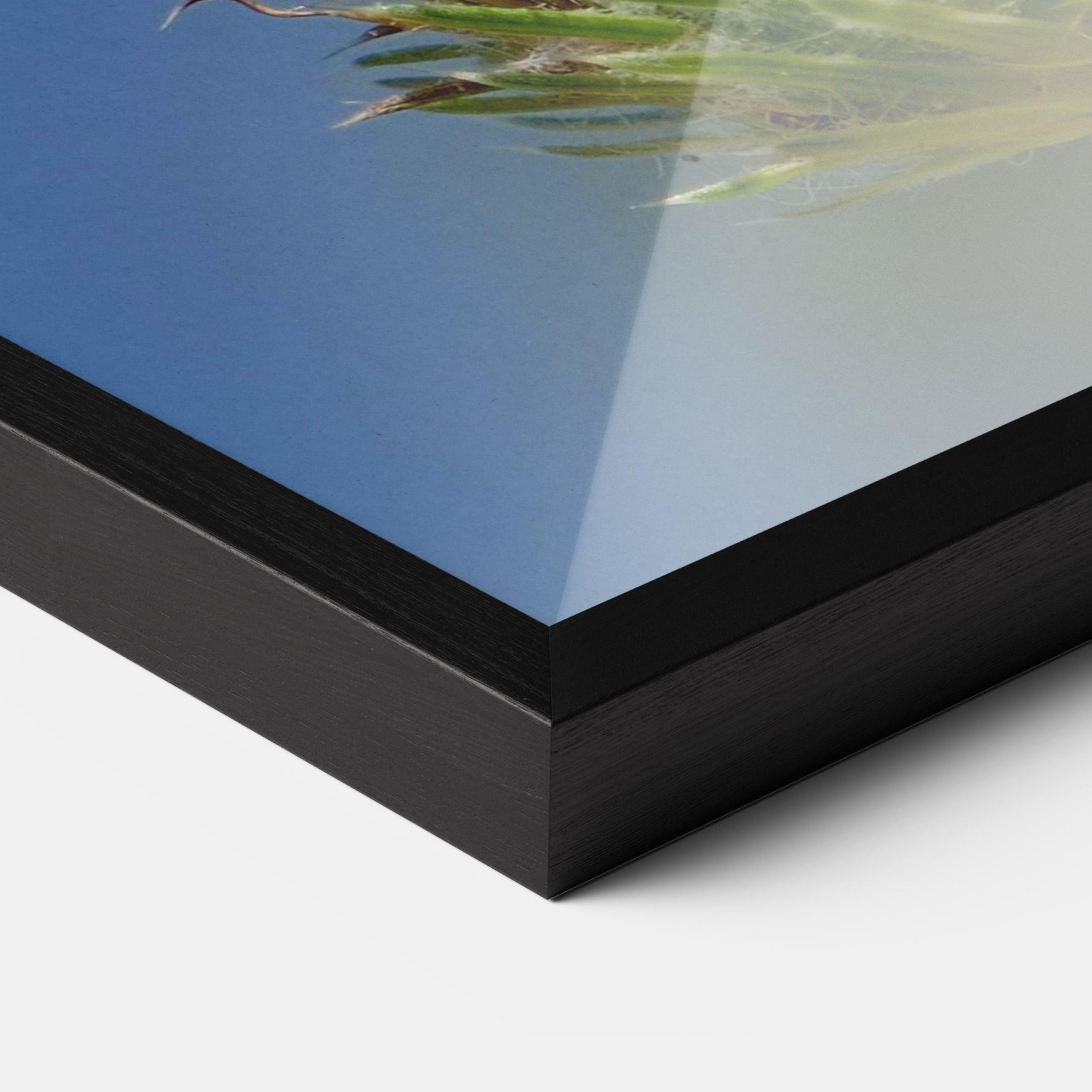 Poster Înrămat Grey White Butterfly mockup 3