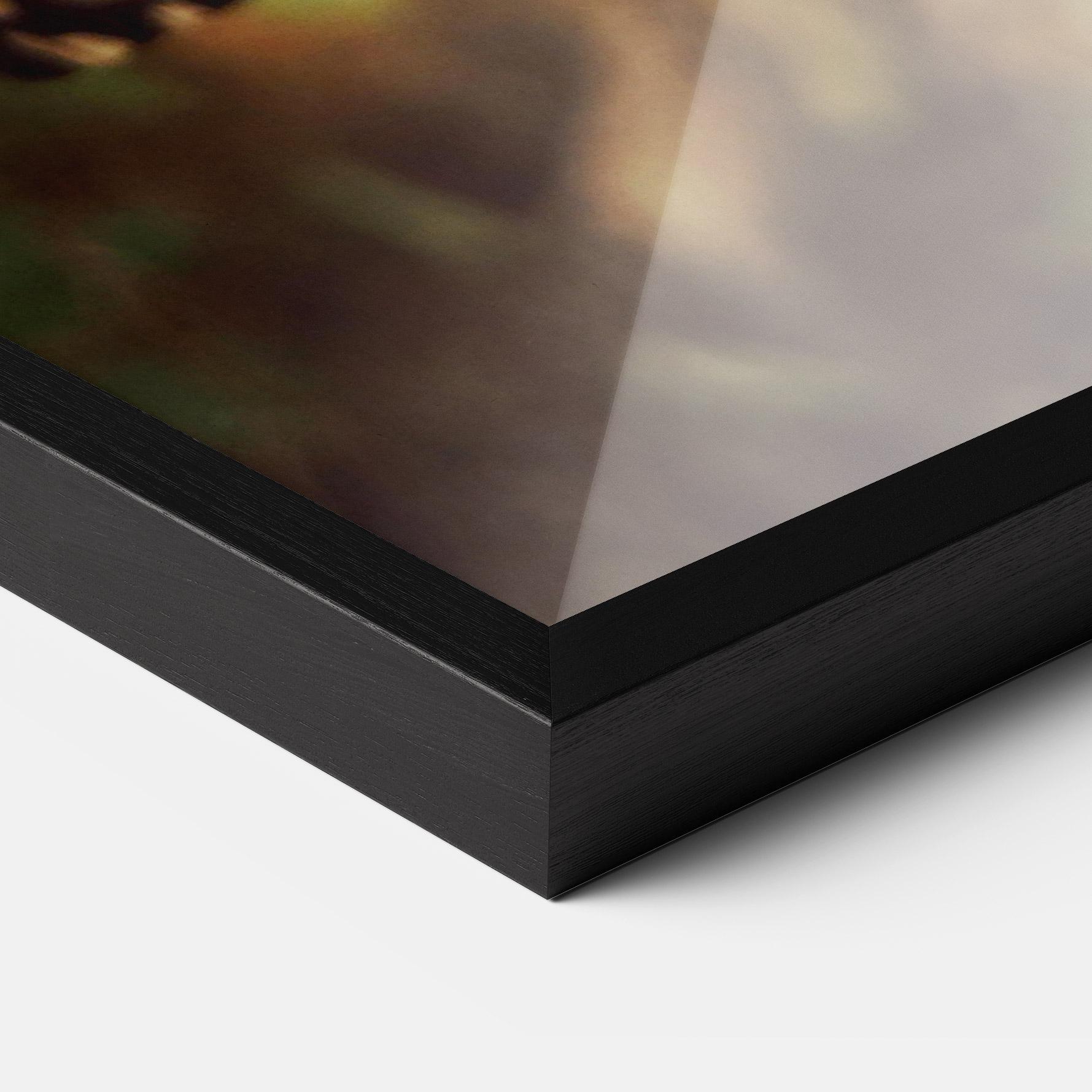 Poster Înrămat Wild Brown Butterfly mockup 3