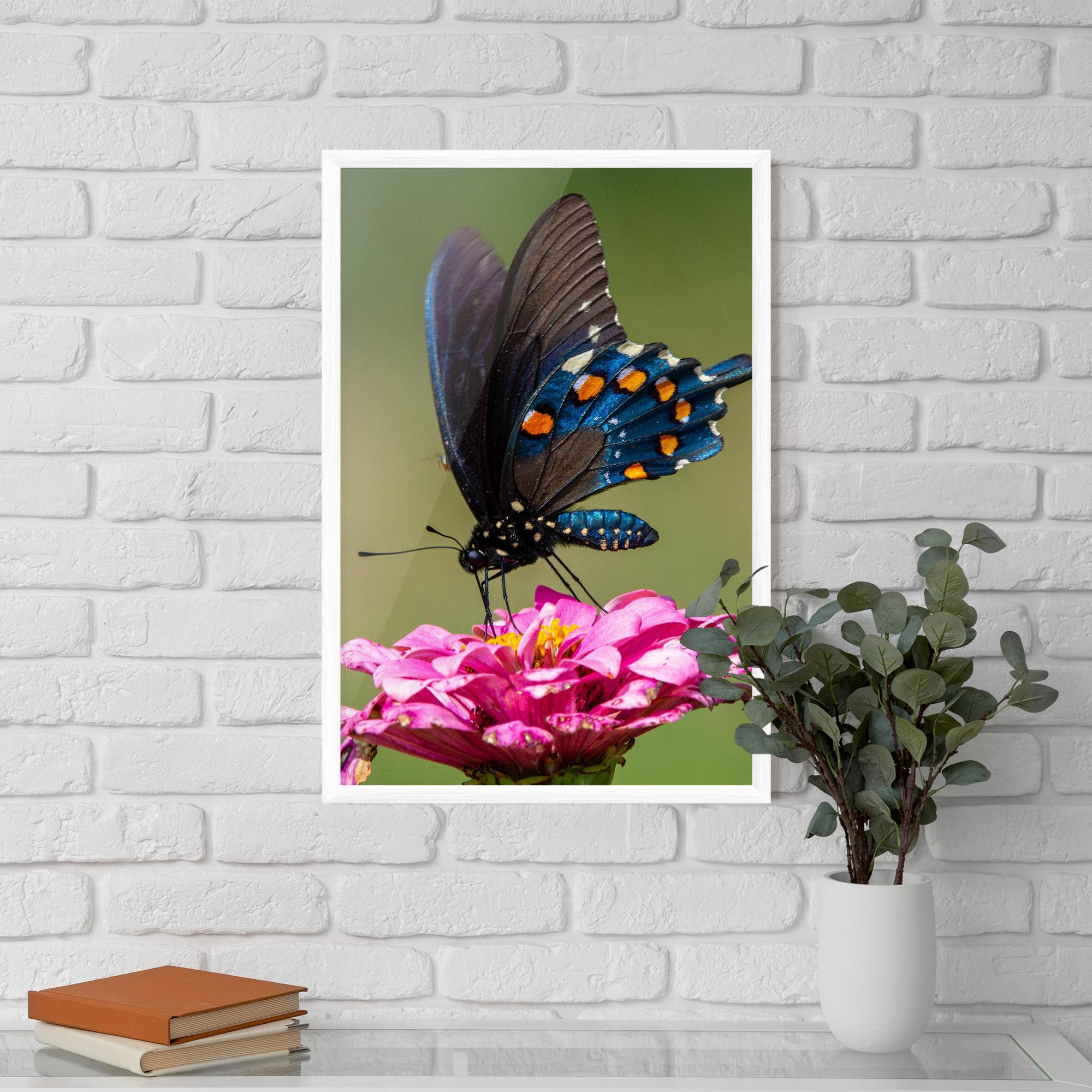 Poster Înrămat Blue Grey Butterfly mockup 5
