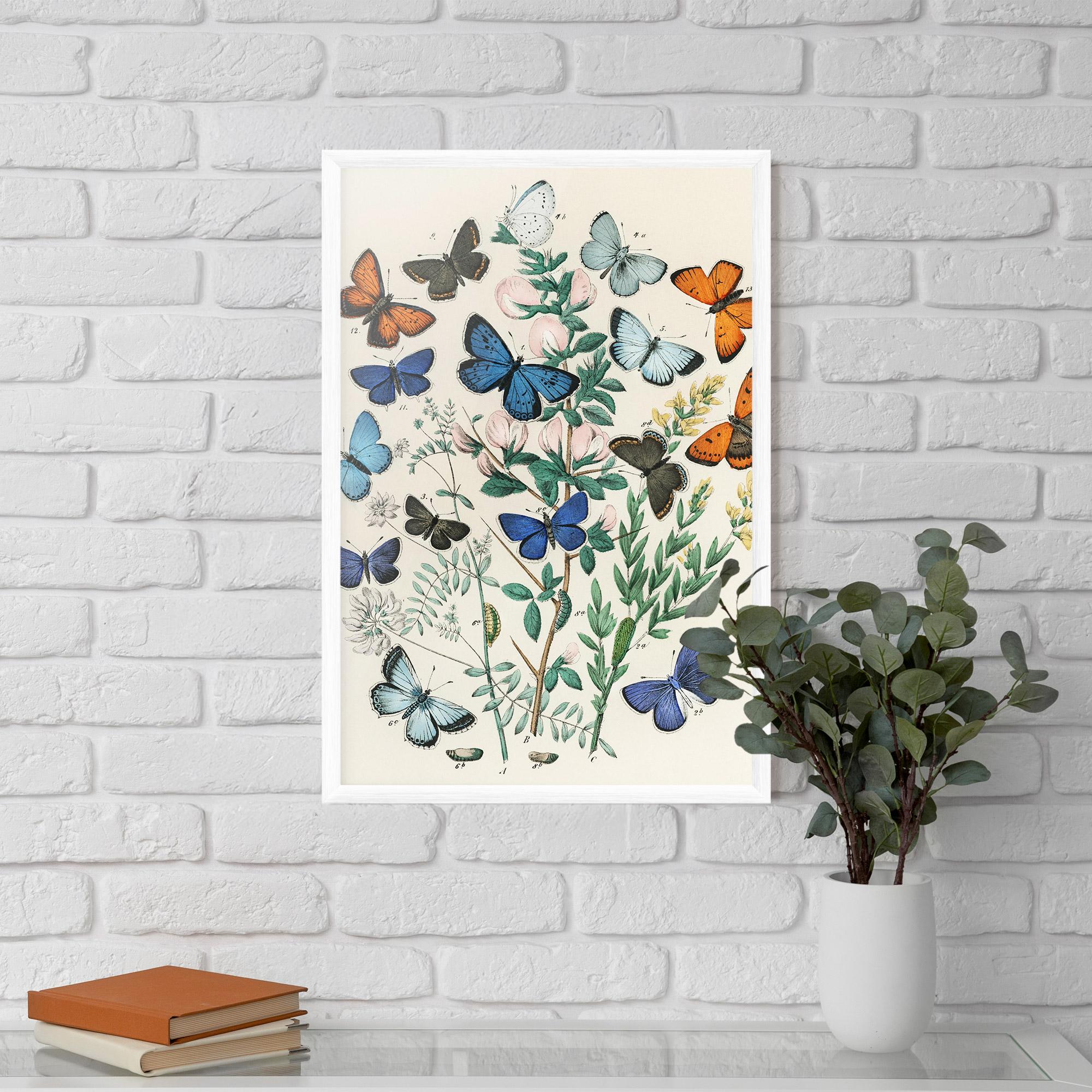 Poster Înrămat Blue Orange Butterflies mockup 5
