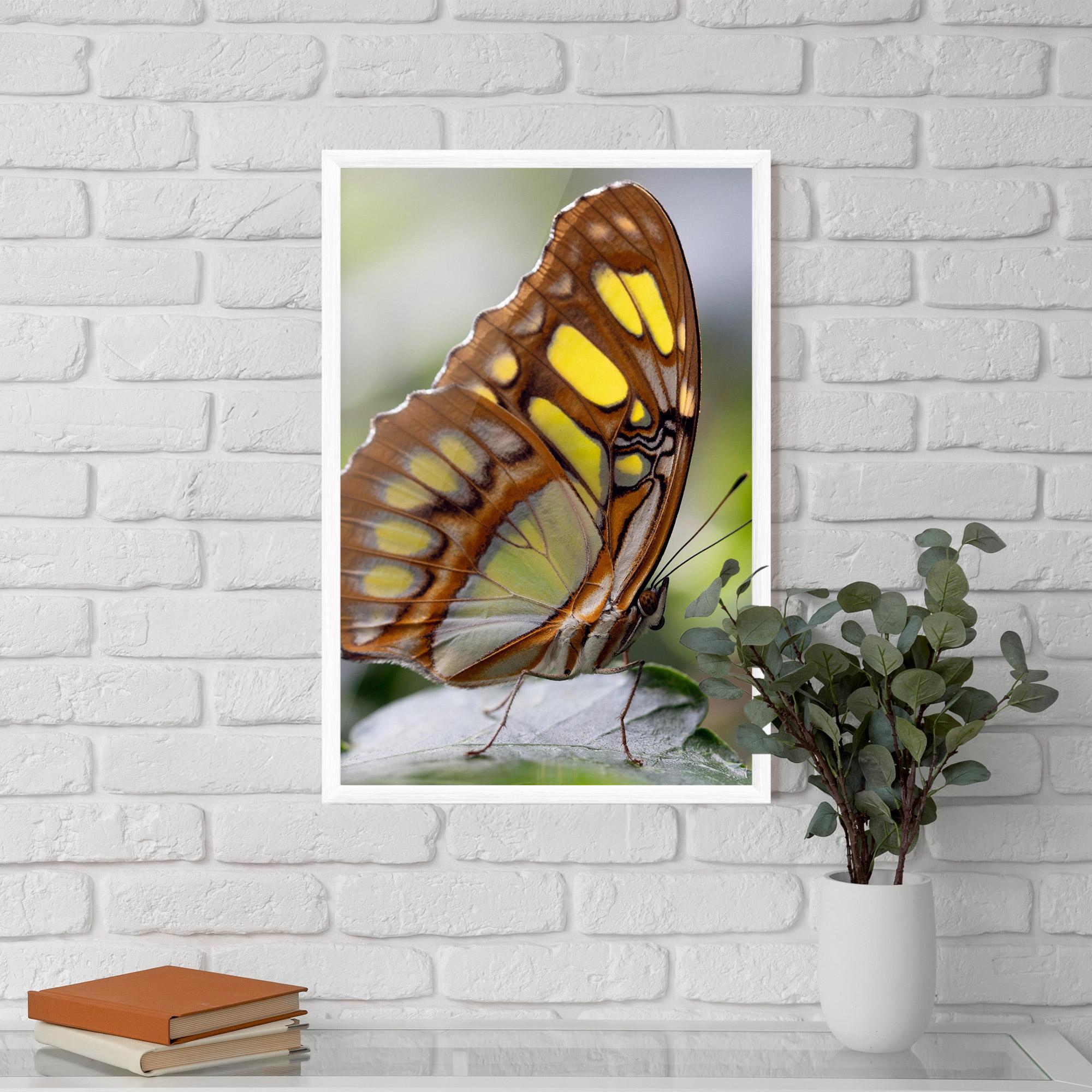 Poster Înrămat Brown Yellow Butterfly mockup 5