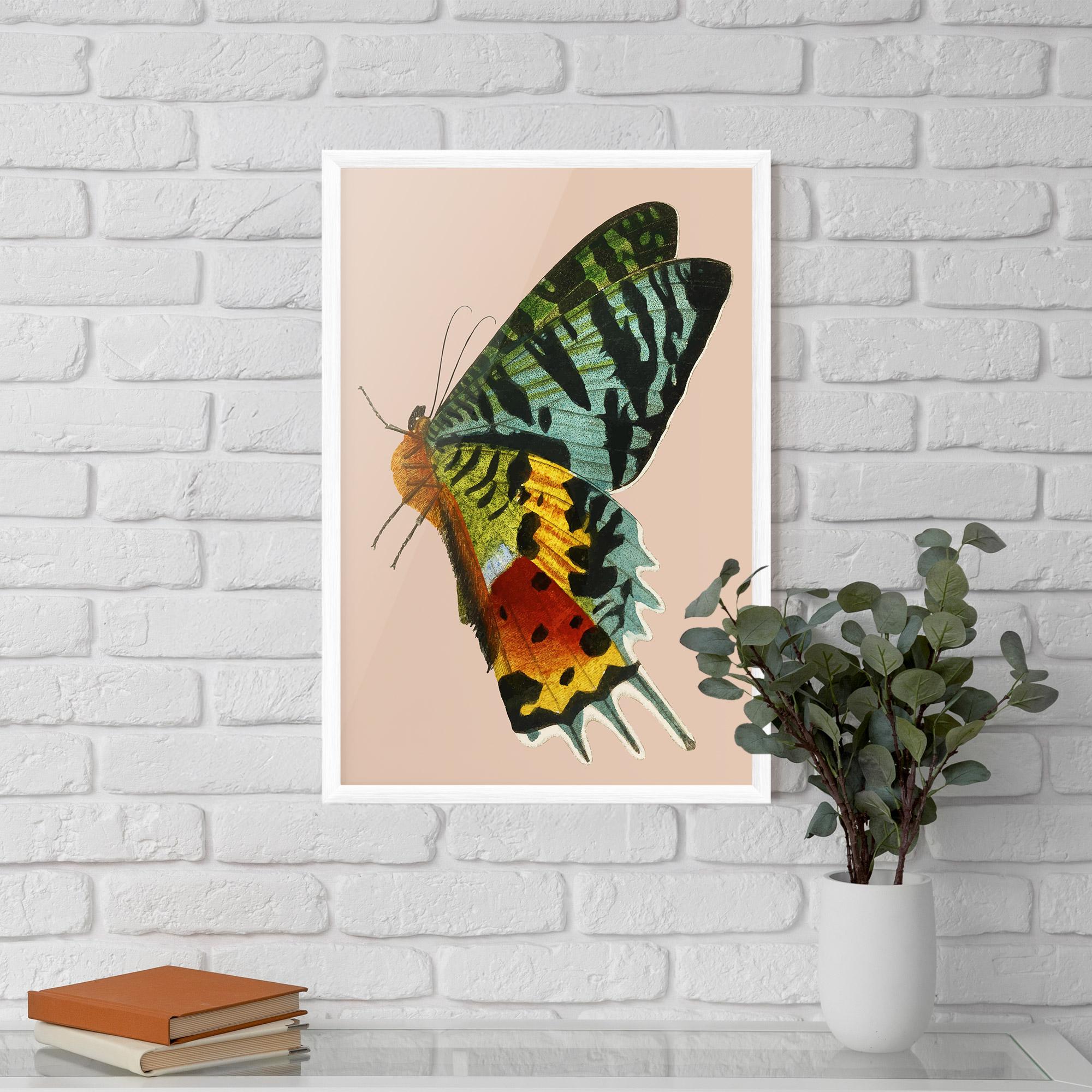 Poster Înrămat Butterfly On Pink mockup 5