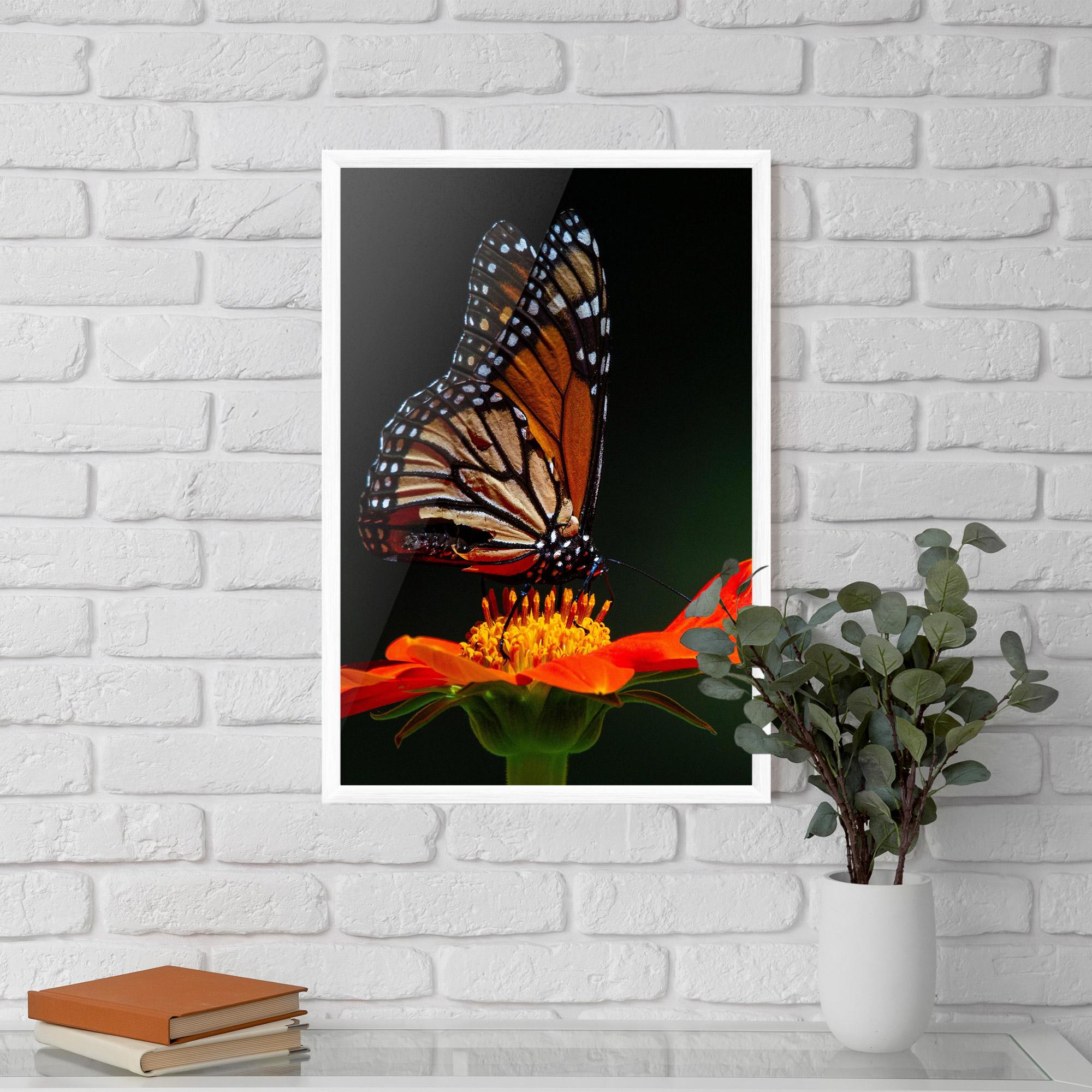 Poster Înrămat Dark Orange Butterfy mockup 5