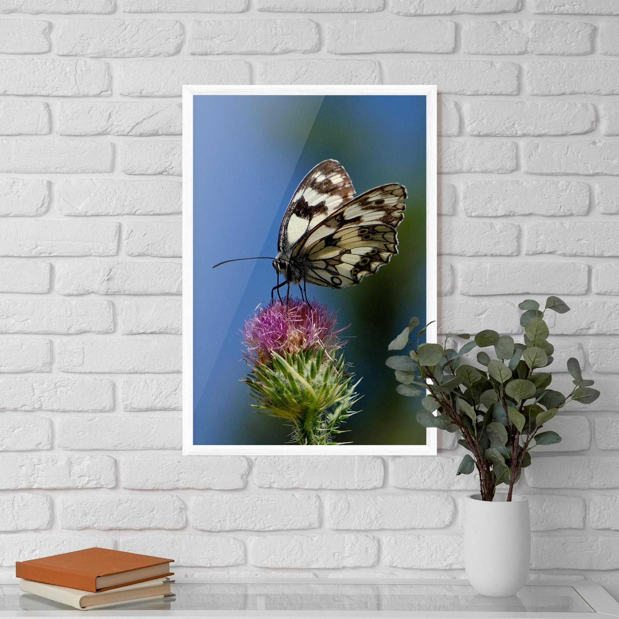 Poster Înrămat Grey White Butterfly mockup 5
