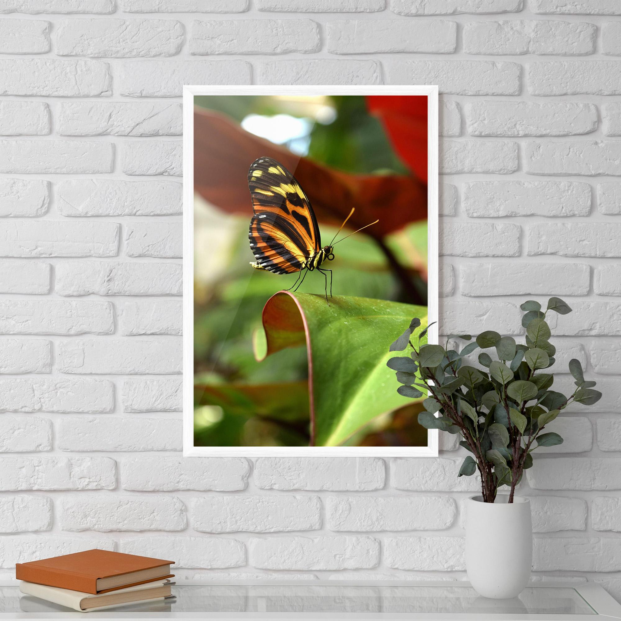 Poster Înrămat Orange Yellow Butterfly mockup 5