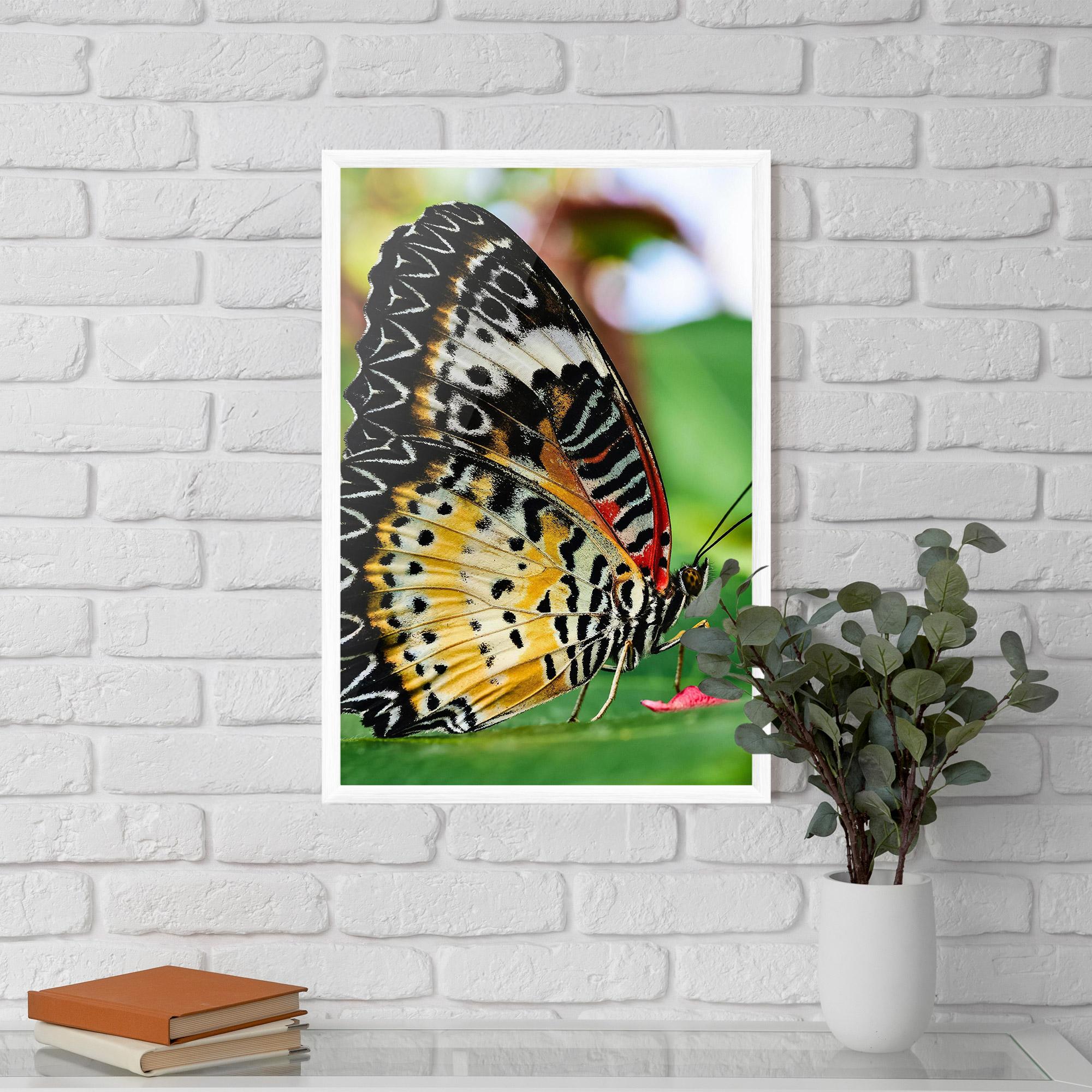 Poster Înrămat Pretty Colorful Butterfly mockup 5