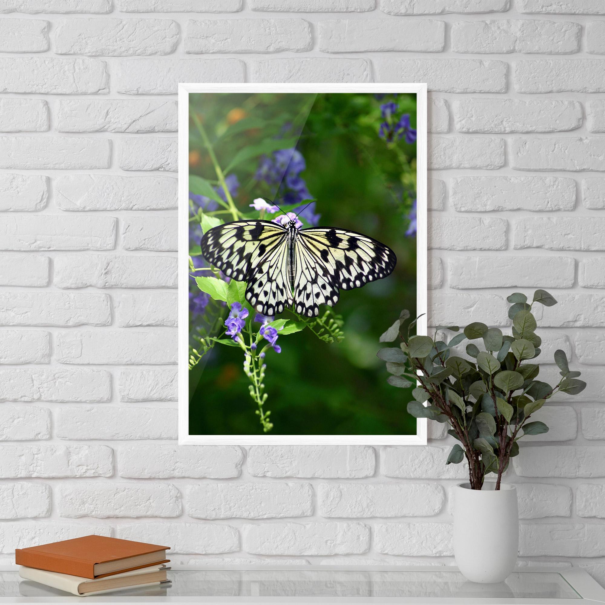 Poster Înrămat Pretty White Butterfly mockup 5