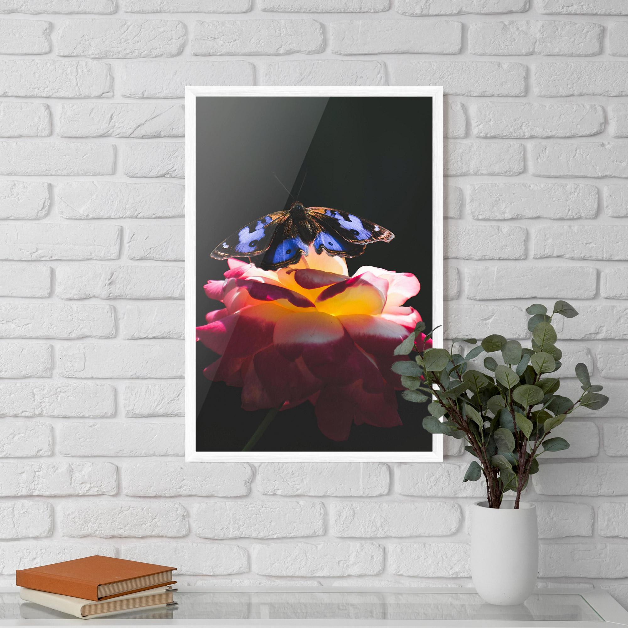 Poster Înrămat Rose Butterfly mockup 5