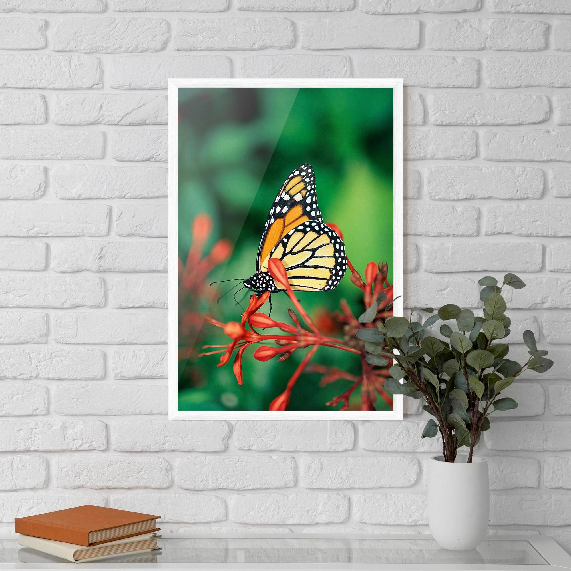 Poster Înrămat Small Orange Butterfly mockup 5