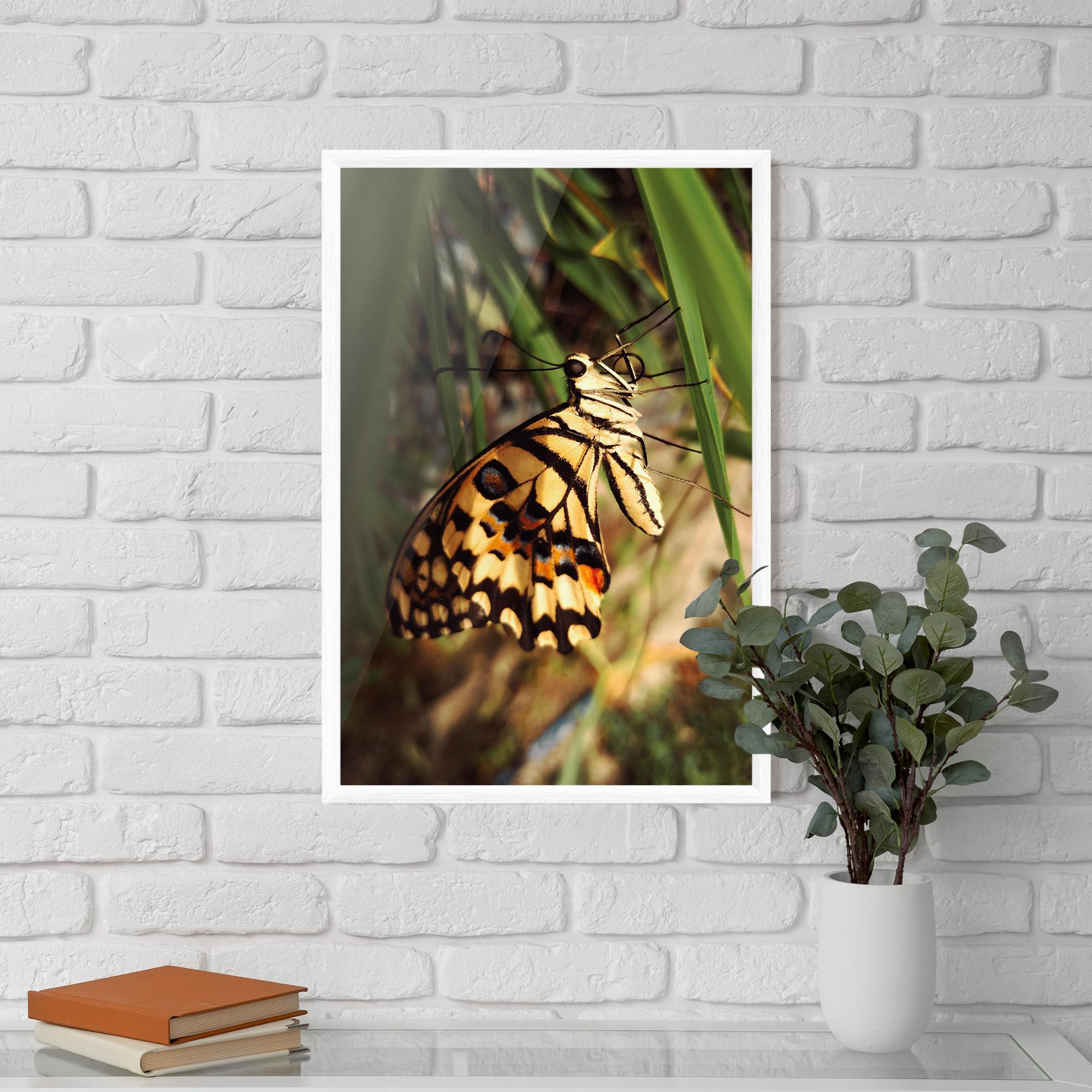 Poster Înrămat Wild Brown Butterfly mockup 5