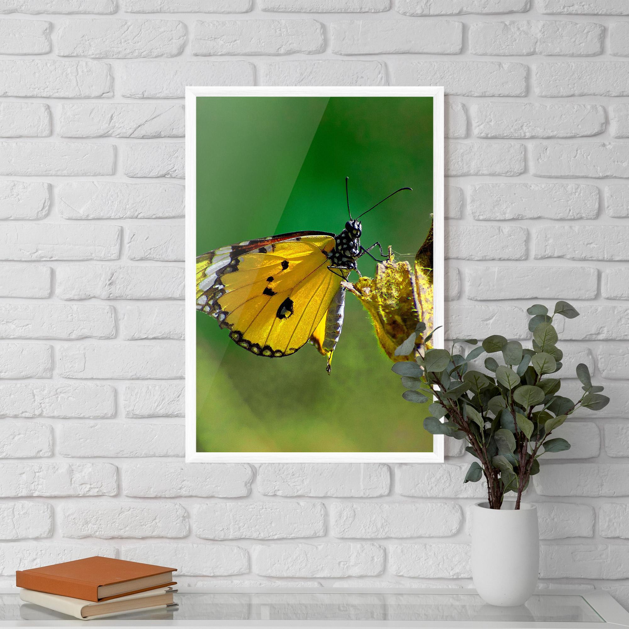 Poster Înrămat Yellow White Butterfly mockup 5
