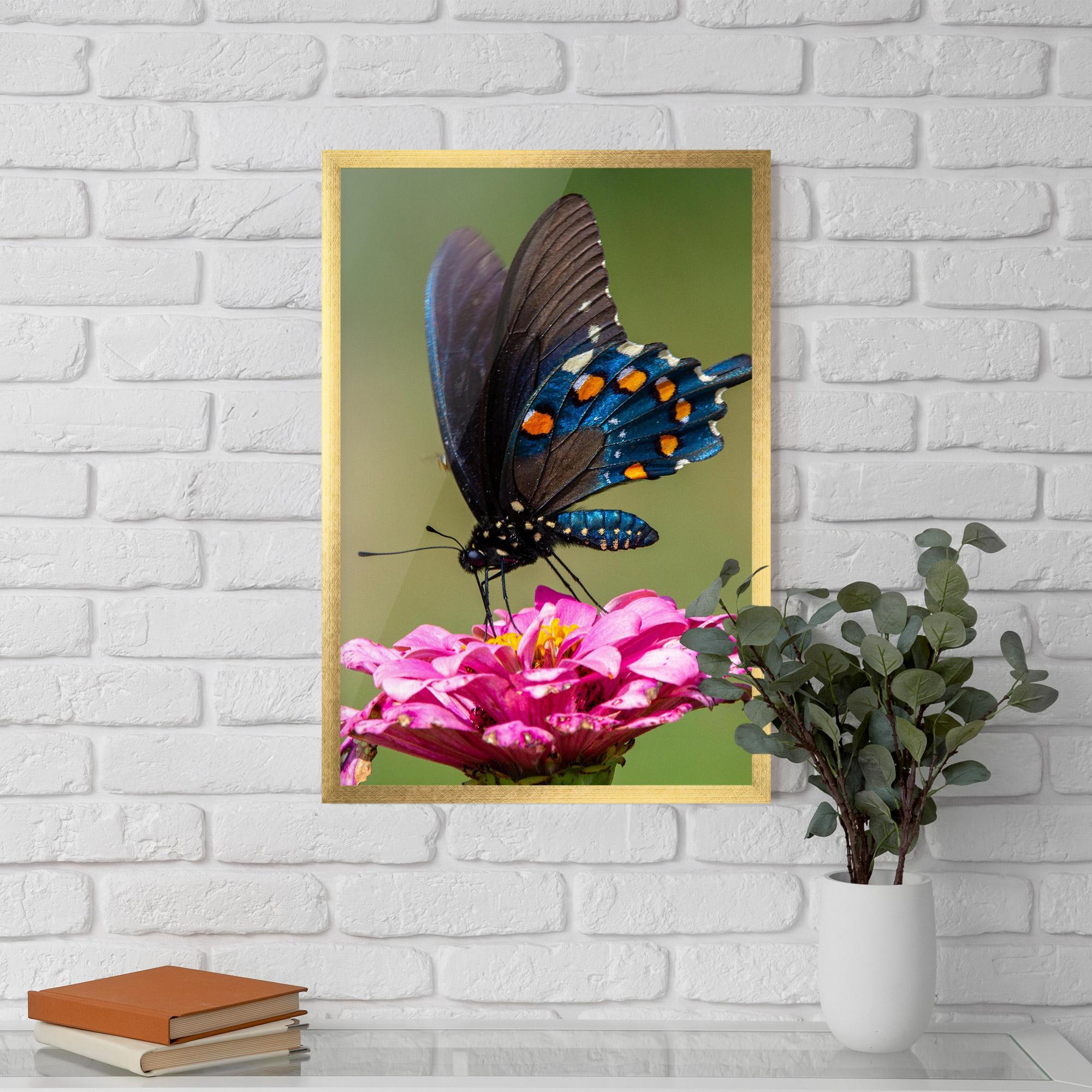 Poster Înrămat Blue Grey Butterfly mockup 5