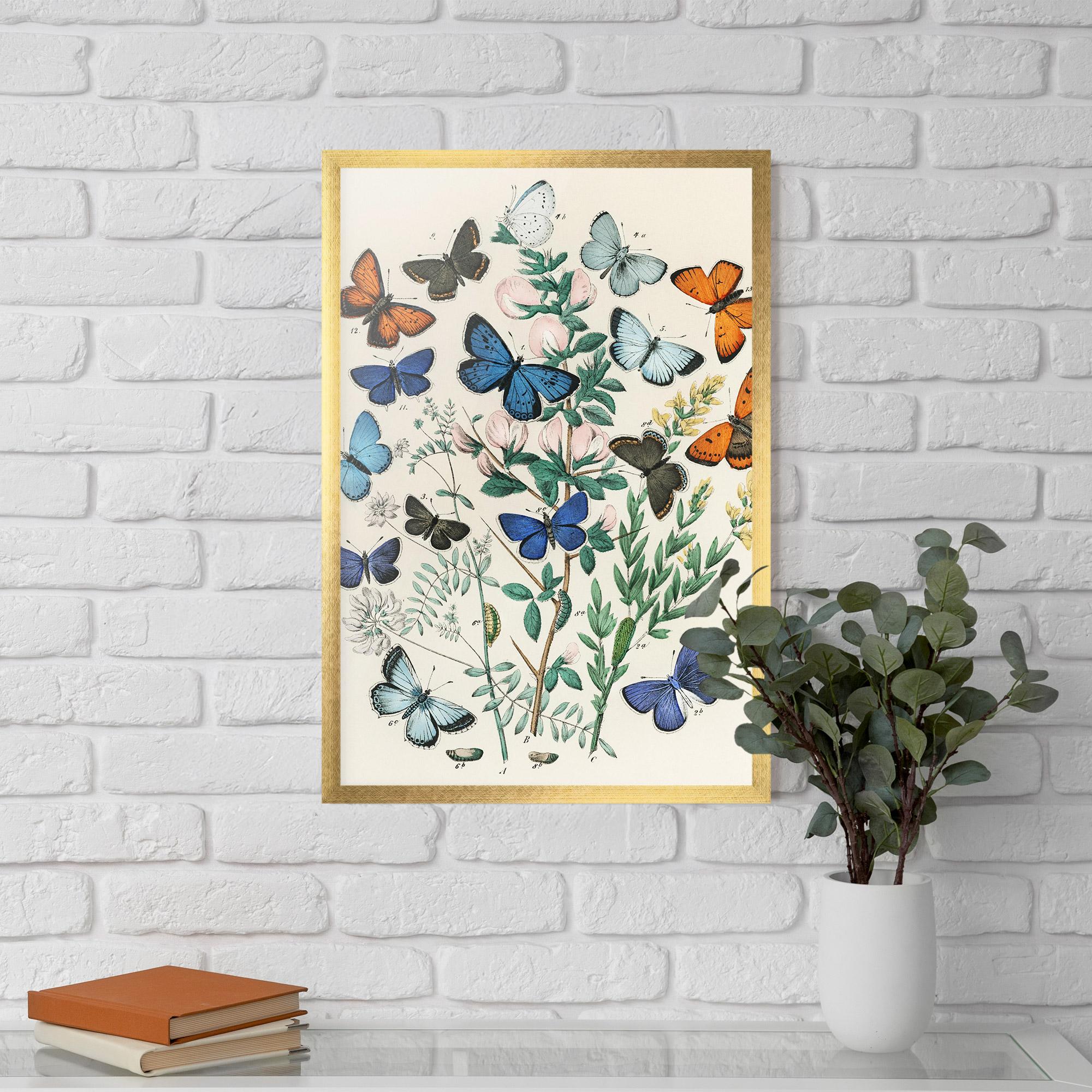 Poster Înrămat Blue Orange Butterflies mockup 5