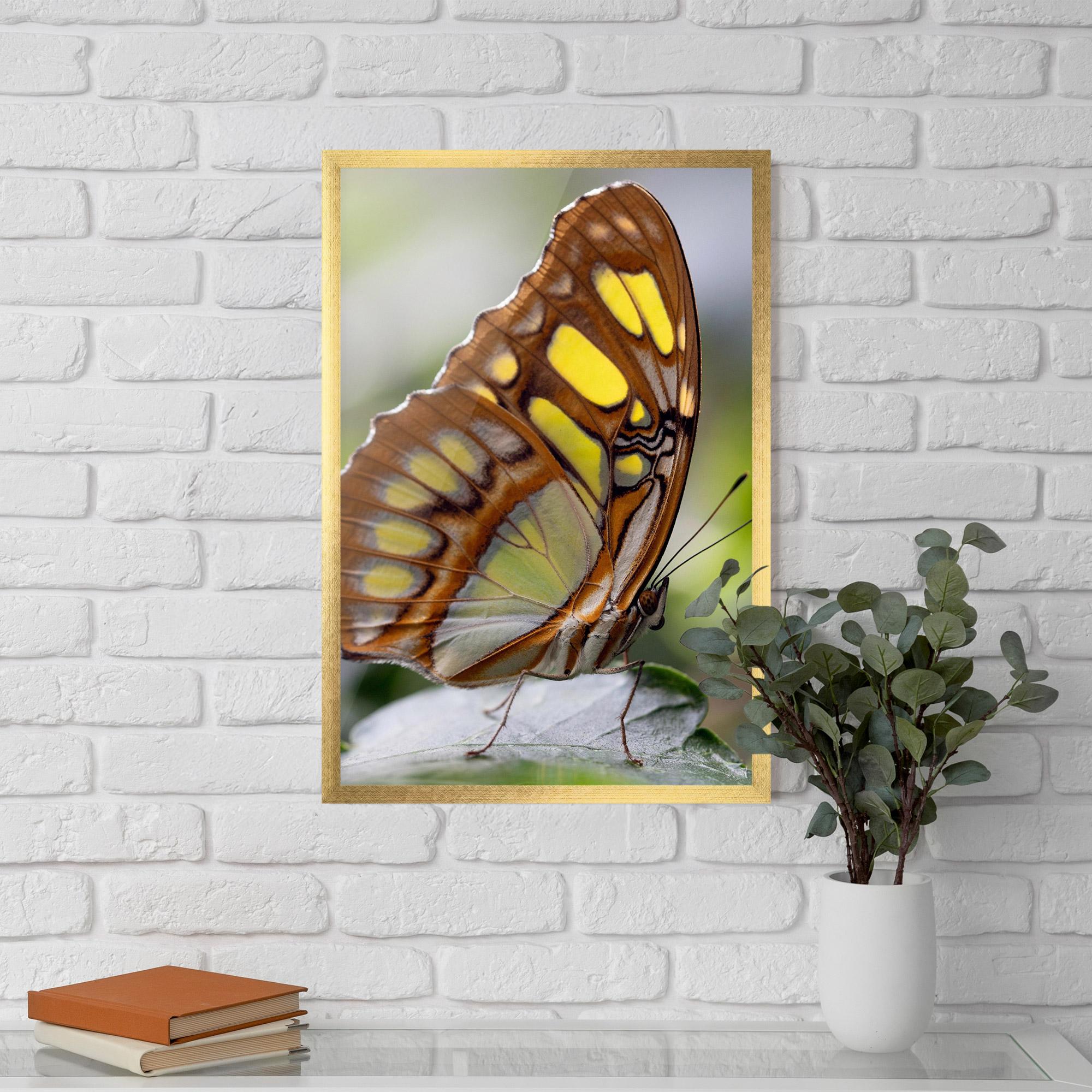 Poster Înrămat Brown Yellow Butterfly mockup 5