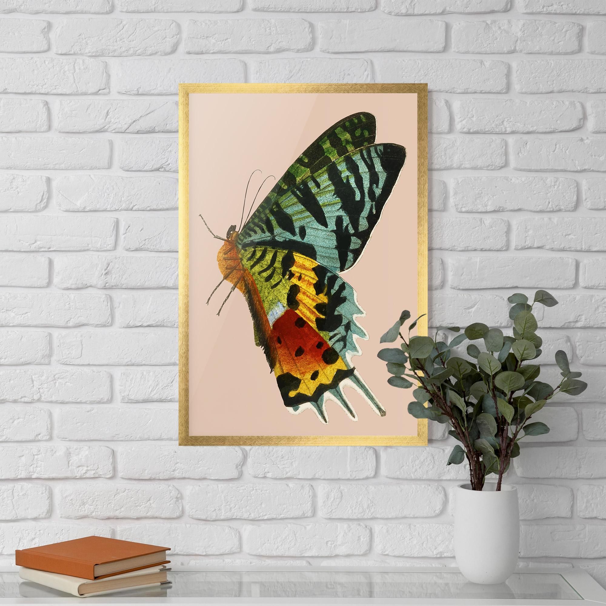 Poster Înrămat Butterfly On Pink mockup 5