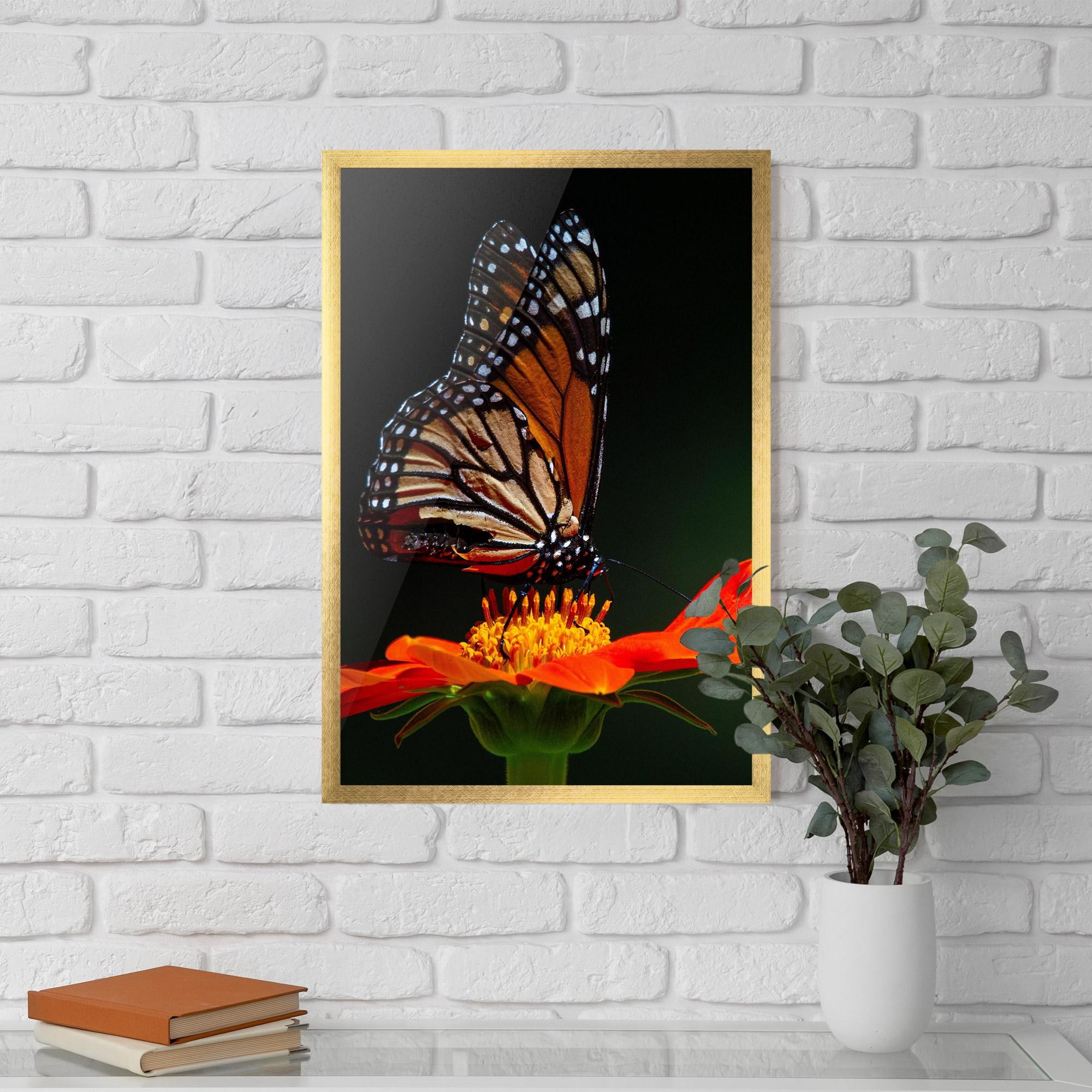 Poster Înrămat Dark Orange Butterfy mockup 5