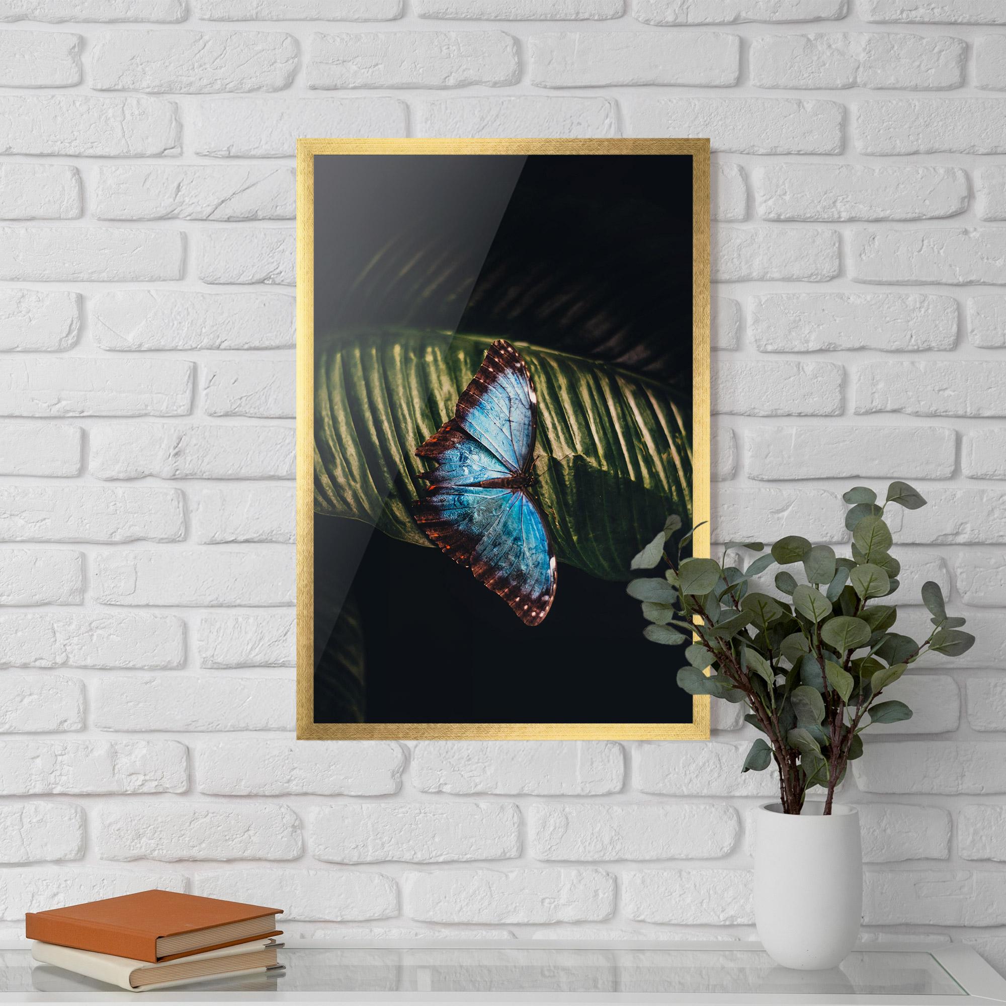 Poster Înrămat Light Blue Butterfly mockup 5