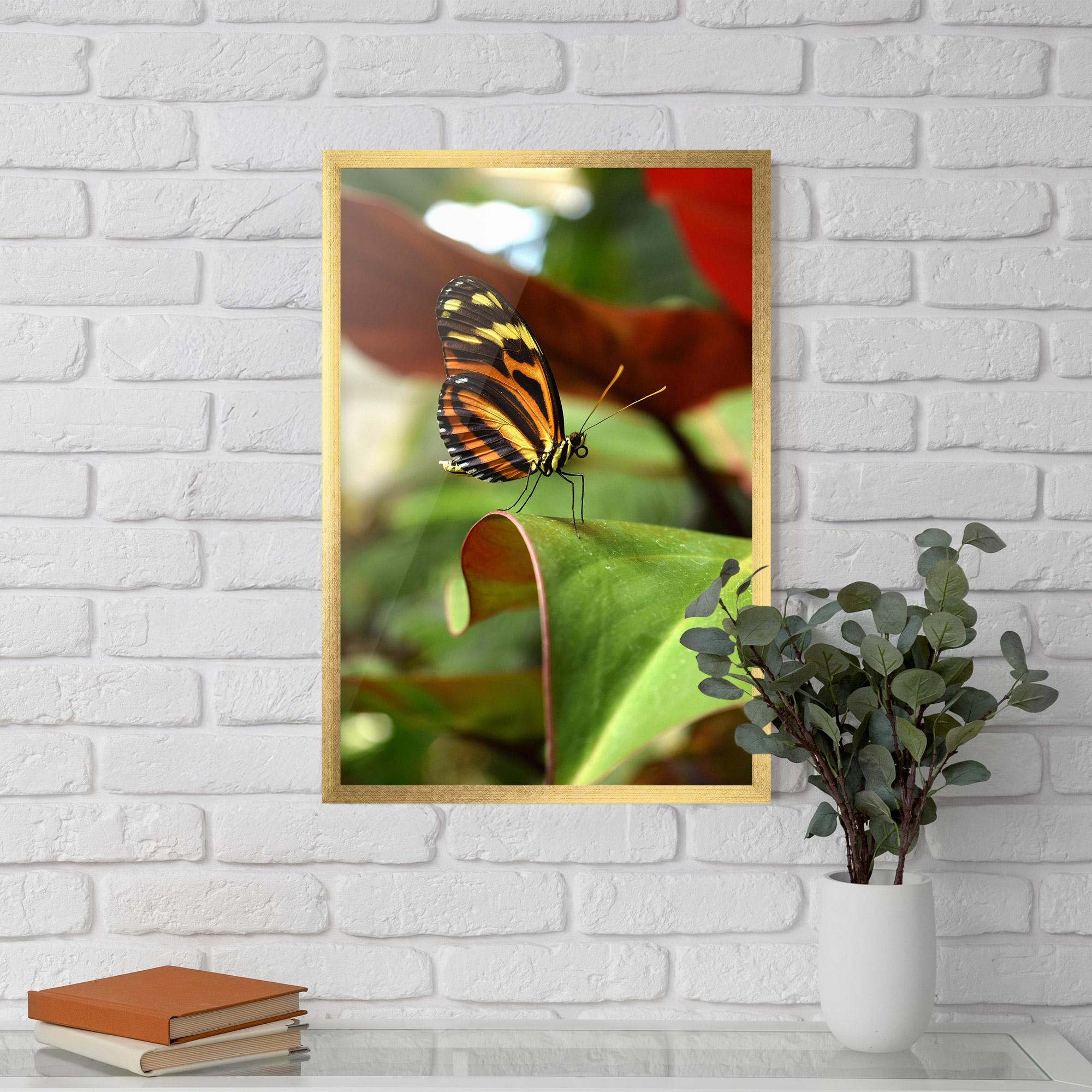 Poster Înrămat Orange Yellow Butterfly mockup 5