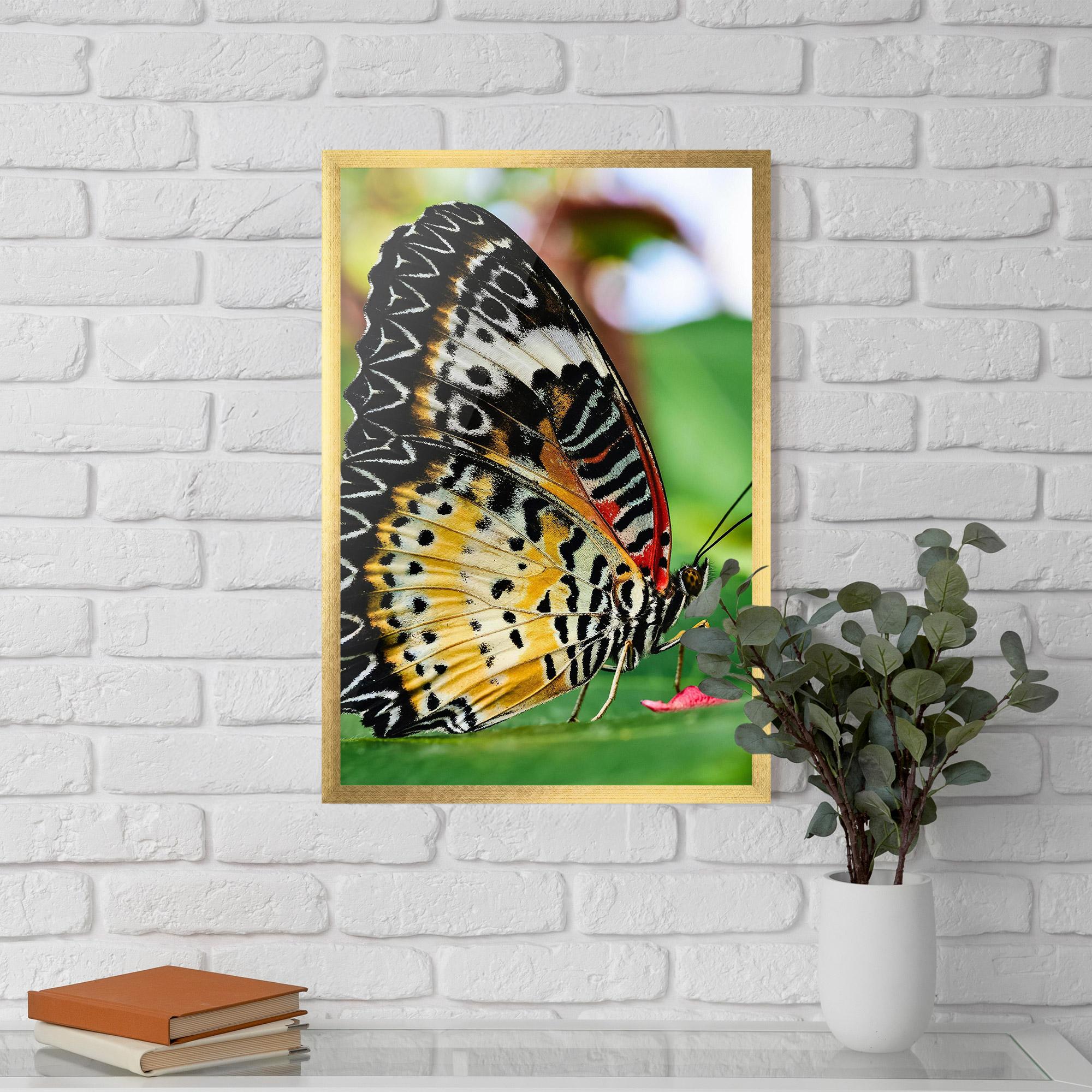 Poster Înrămat Pretty Colorful Butterfly mockup 5