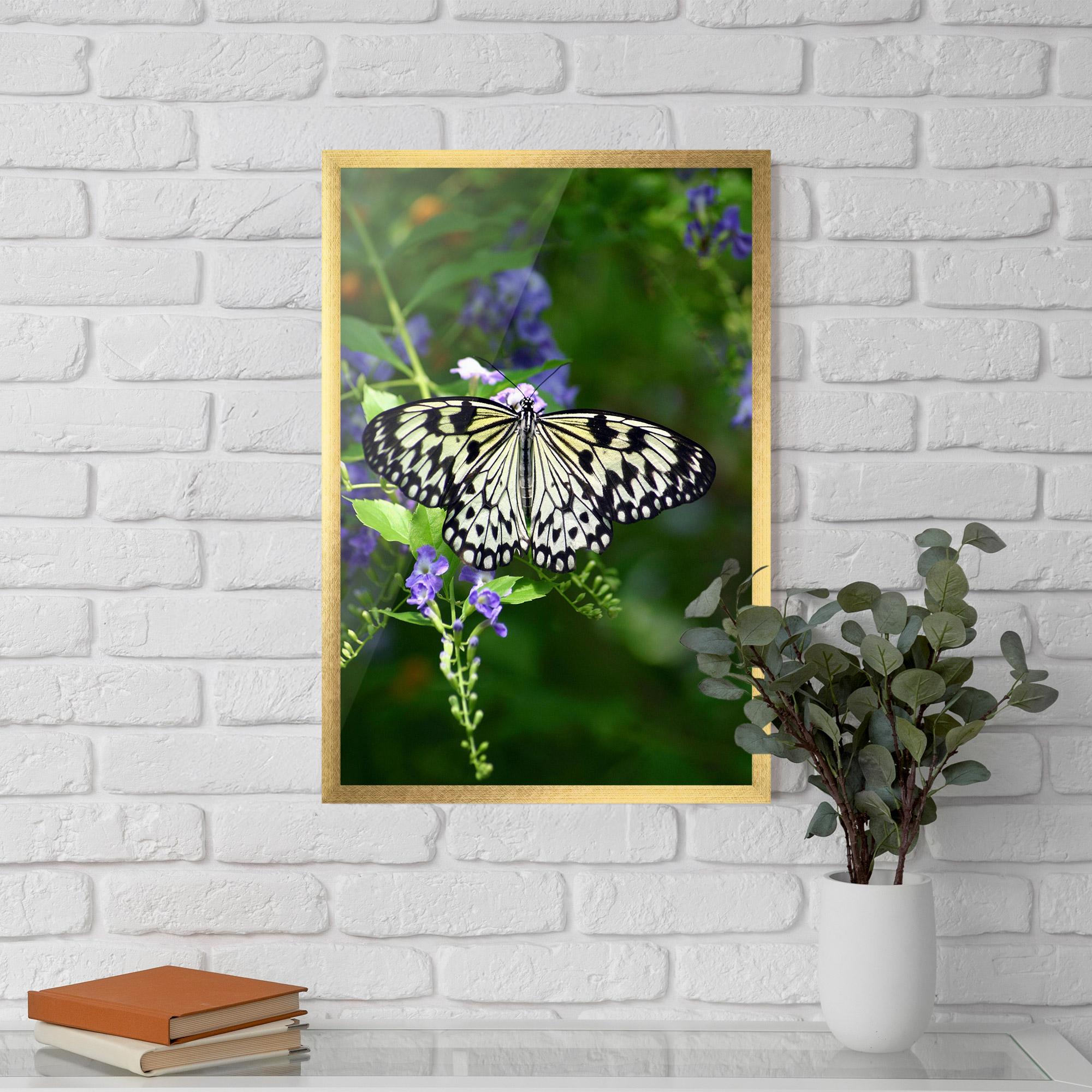 Poster Înrămat Pretty White Butterfly mockup 5