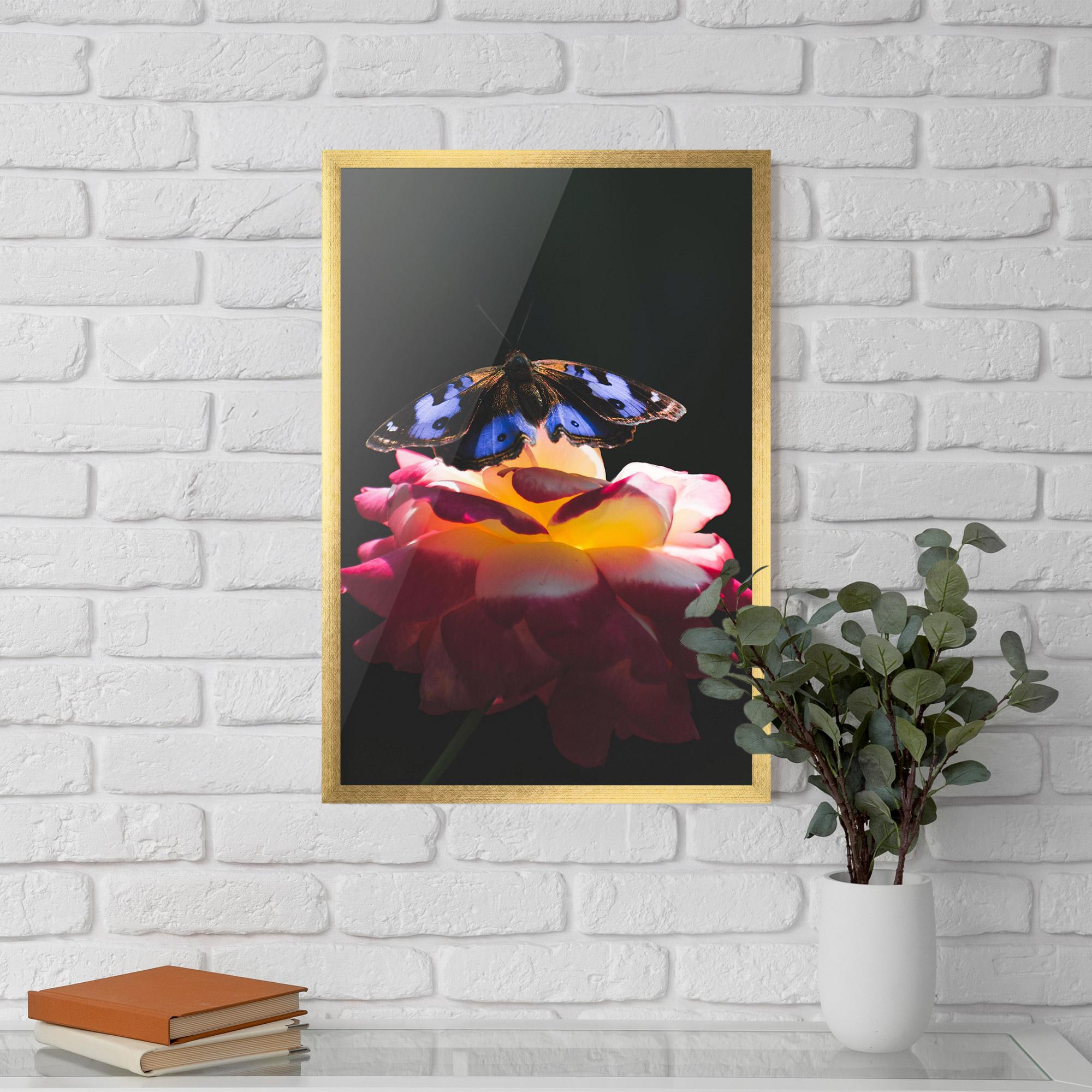 Poster Înrămat Rose Butterfly mockup 5