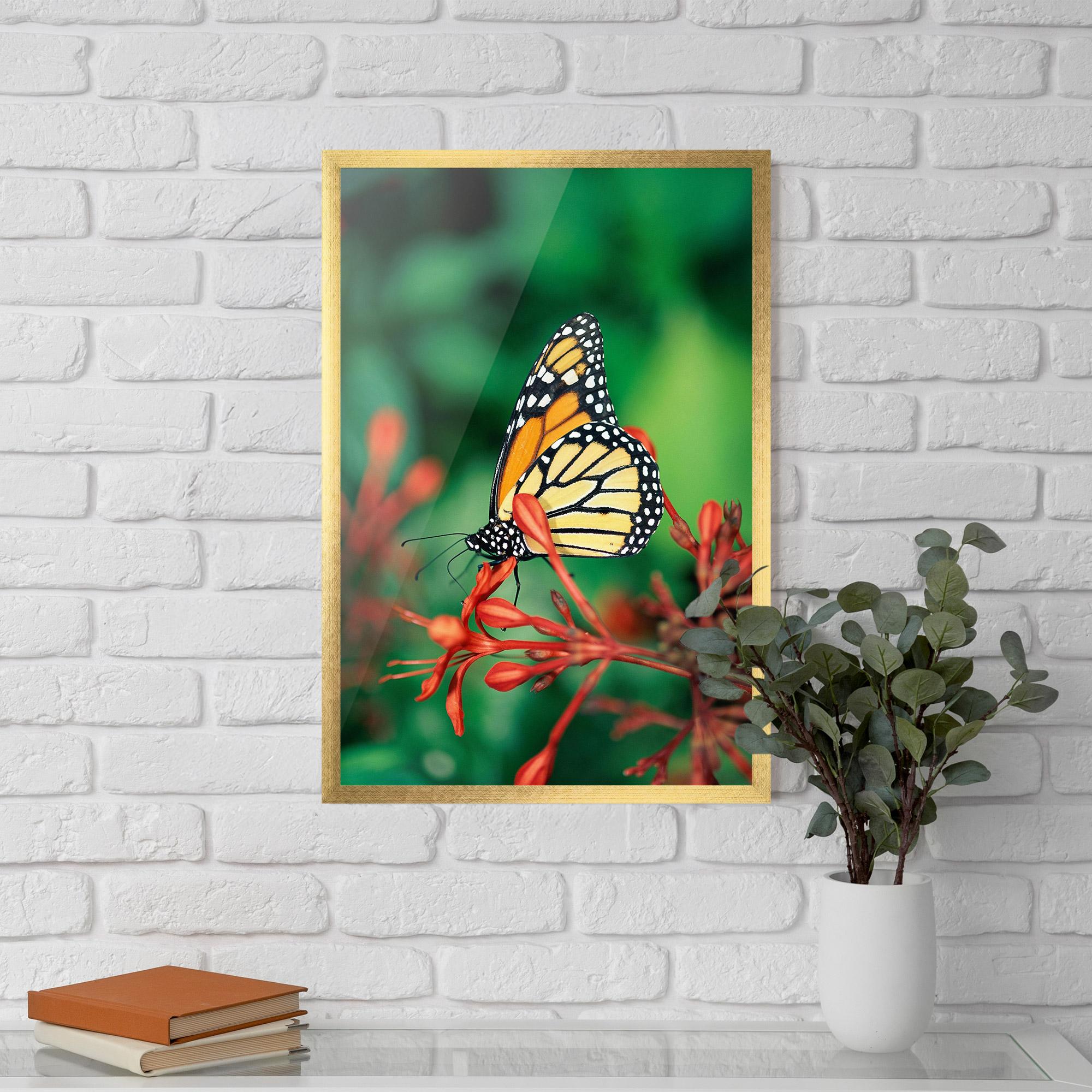 Poster Înrămat Small Orange Butterfly mockup 5