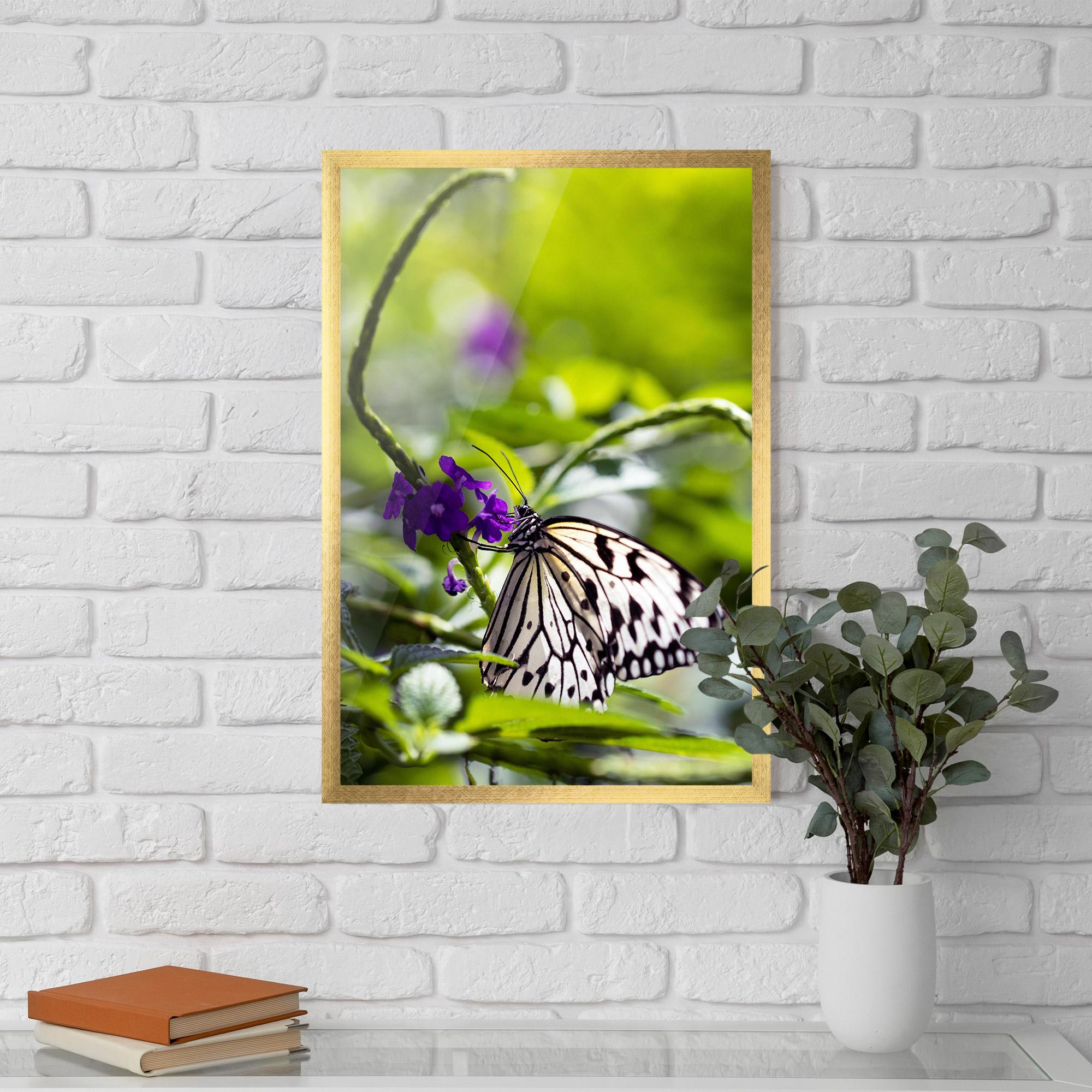 Poster Înrămat White Black Butterfly mockup 5