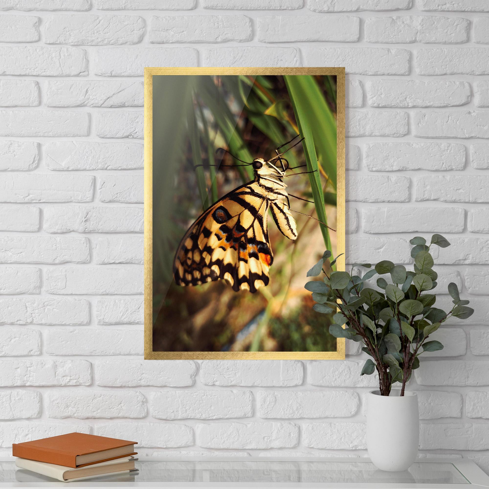 Poster Înrămat Wild Brown Butterfly mockup 5