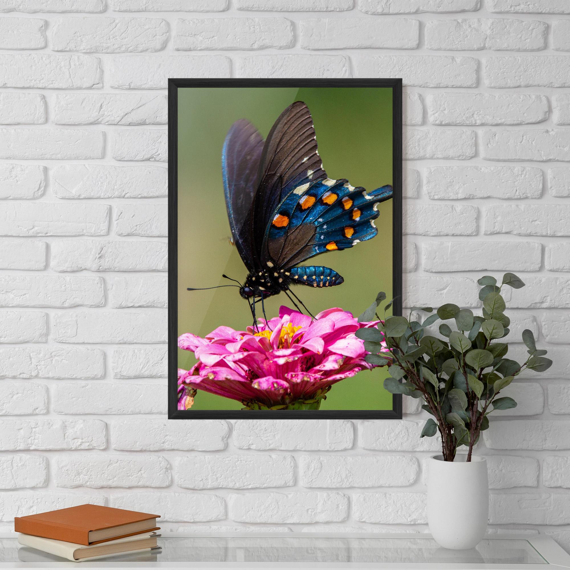Poster Înrămat Blue Grey Butterfly mockup 5