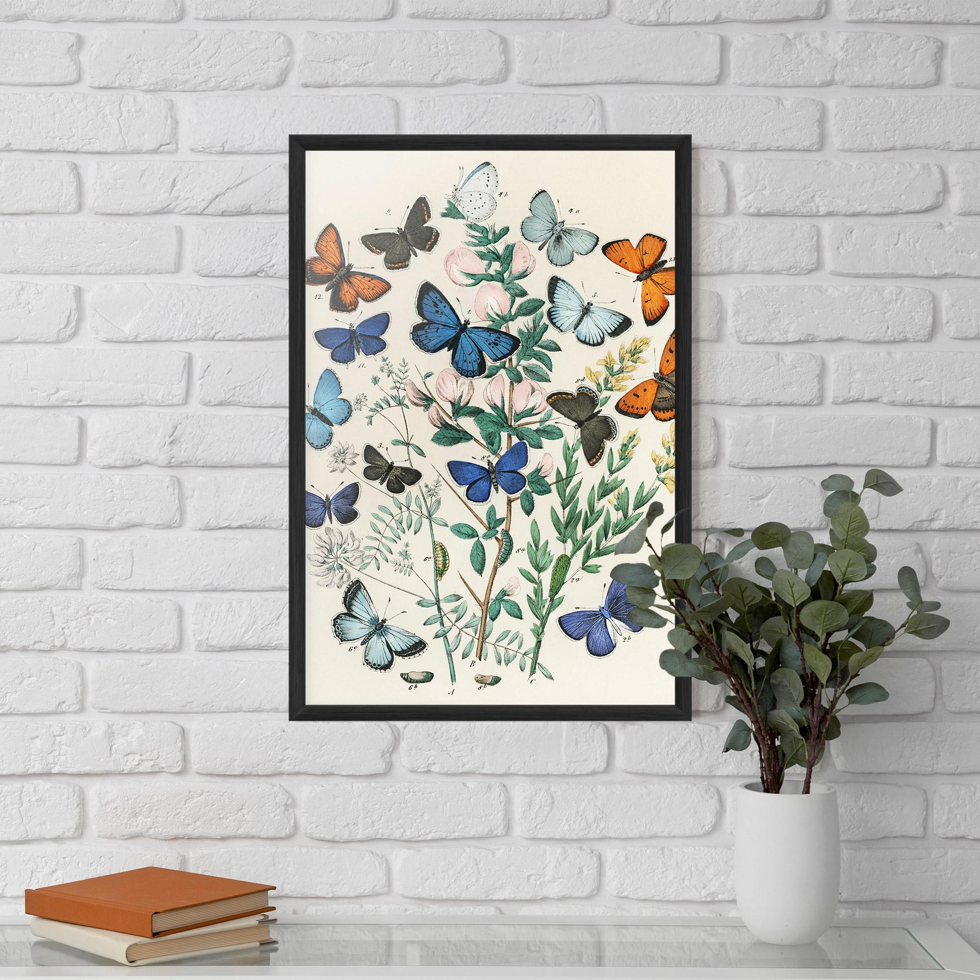 Poster Înrămat Blue Orange Butterflies mockup 5
