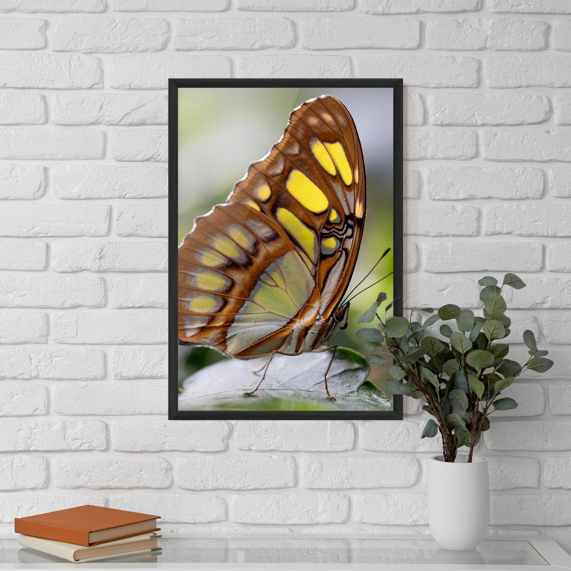 Poster Înrămat Brown Yellow Butterfly mockup 5