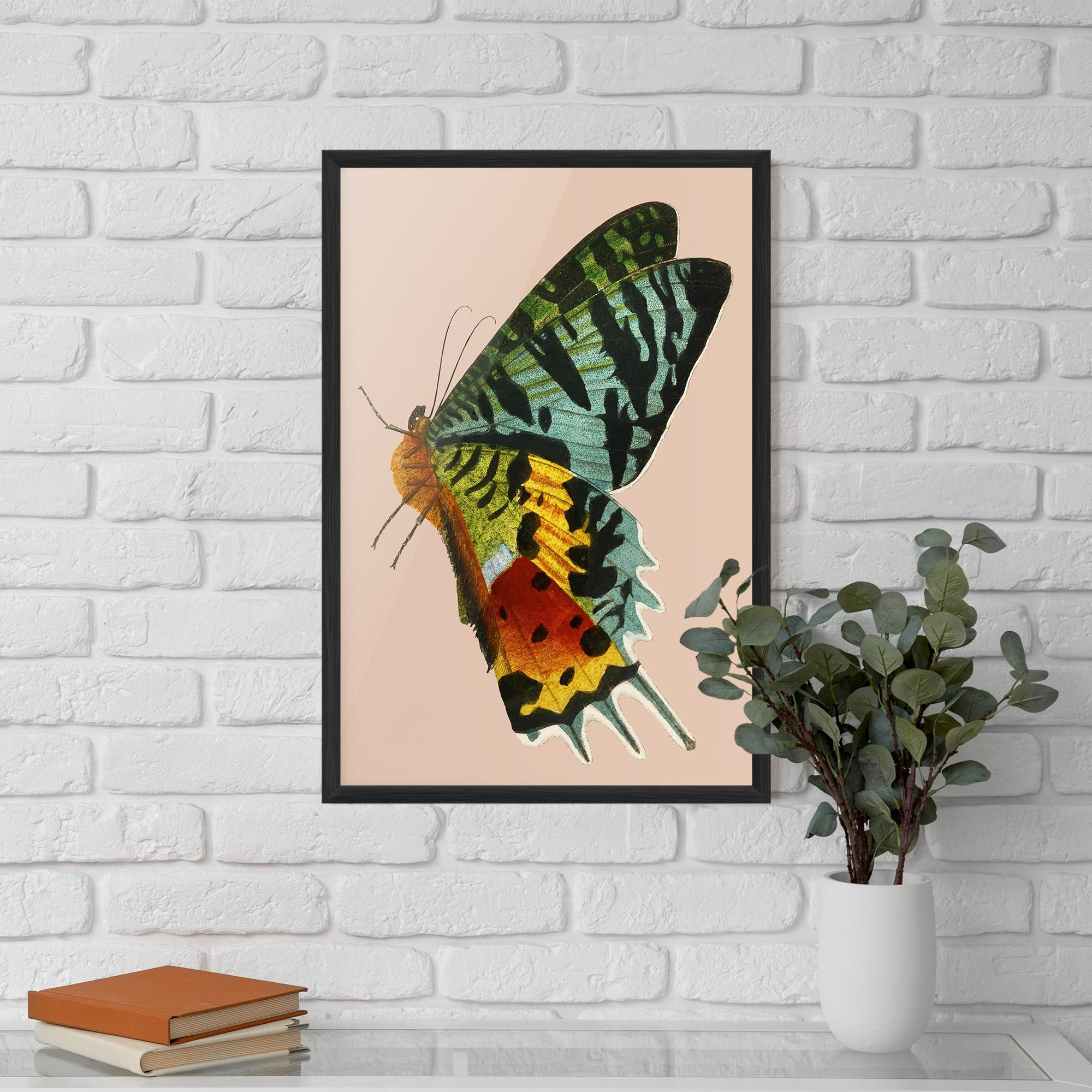 Poster Înrămat Butterfly On Pink mockup 5