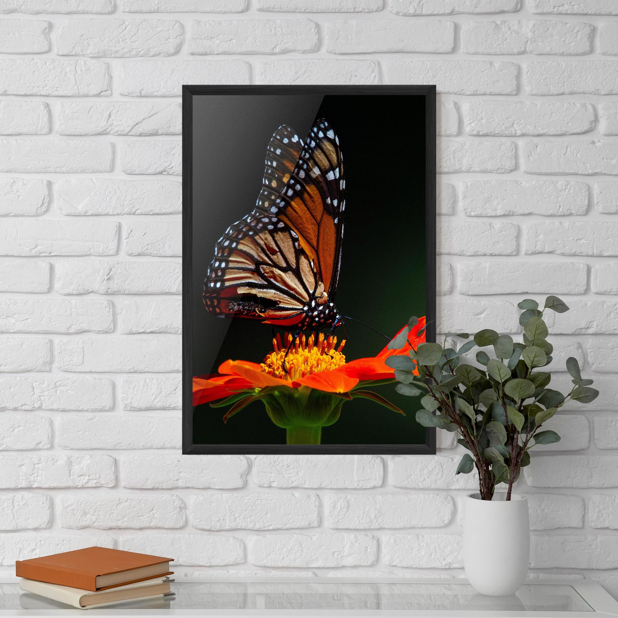 Poster Înrămat Dark Orange Butterfy mockup 5