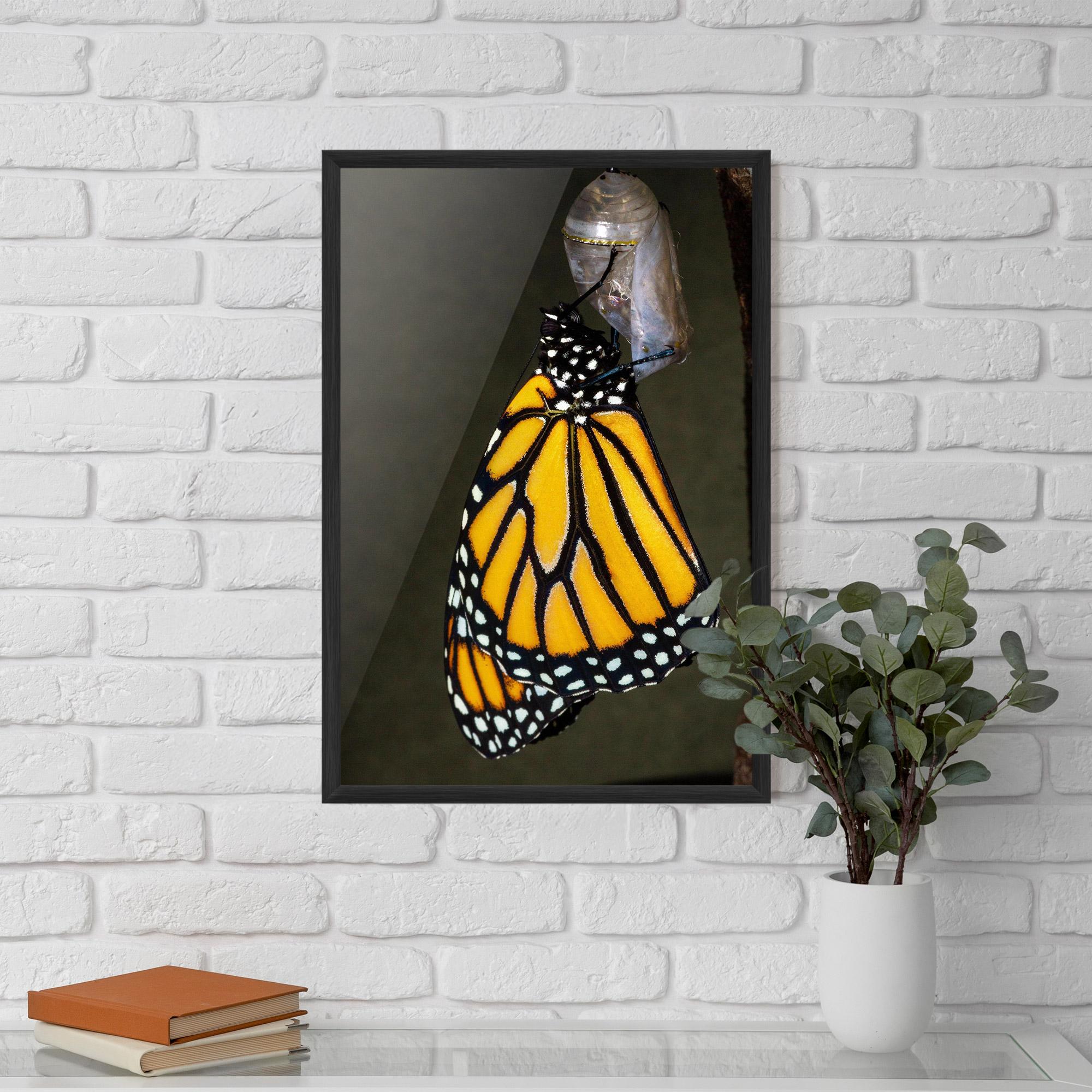 Poster Înrămat Dark Yellow Butterfly mockup 5