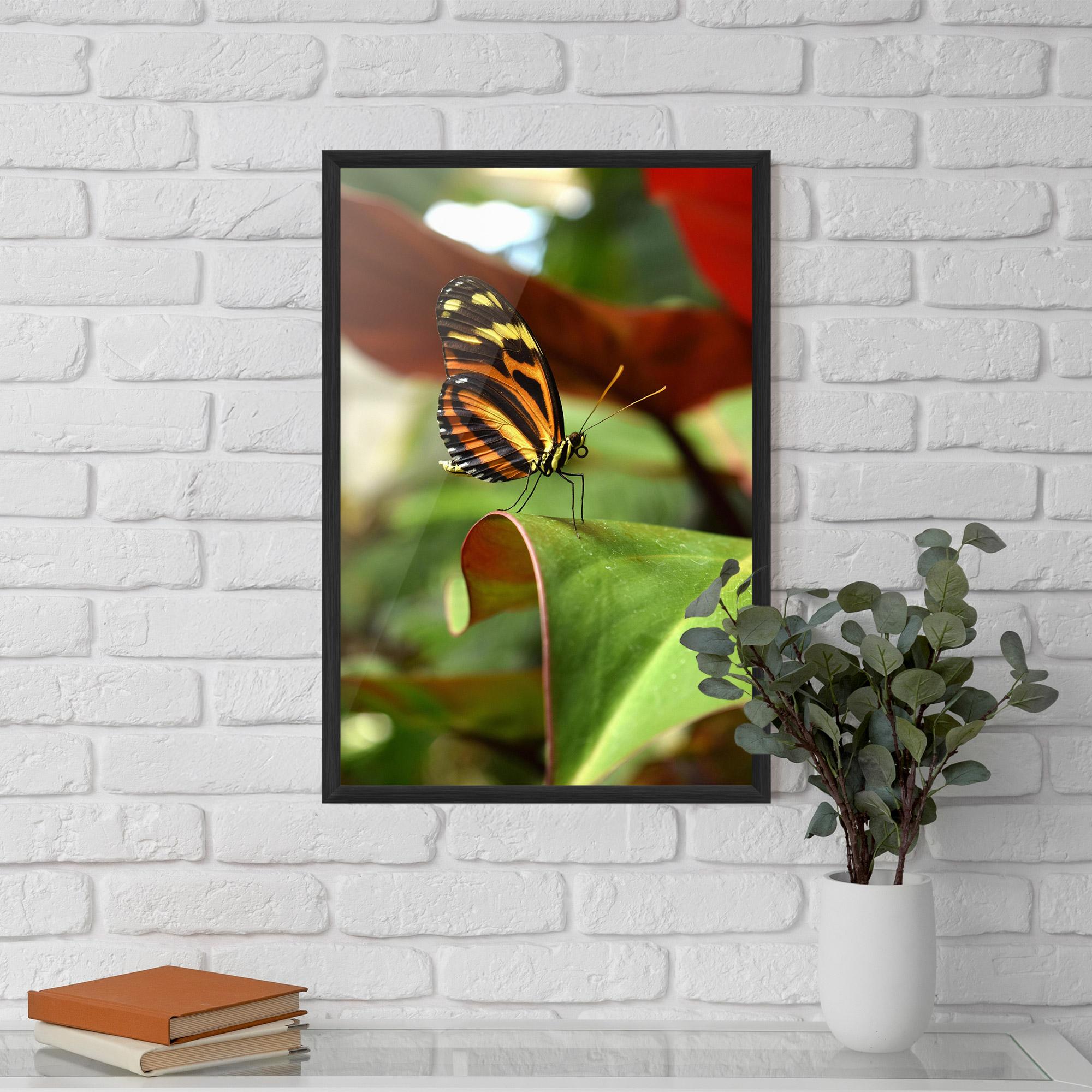 Poster Înrămat Orange Yellow Butterfly mockup 5