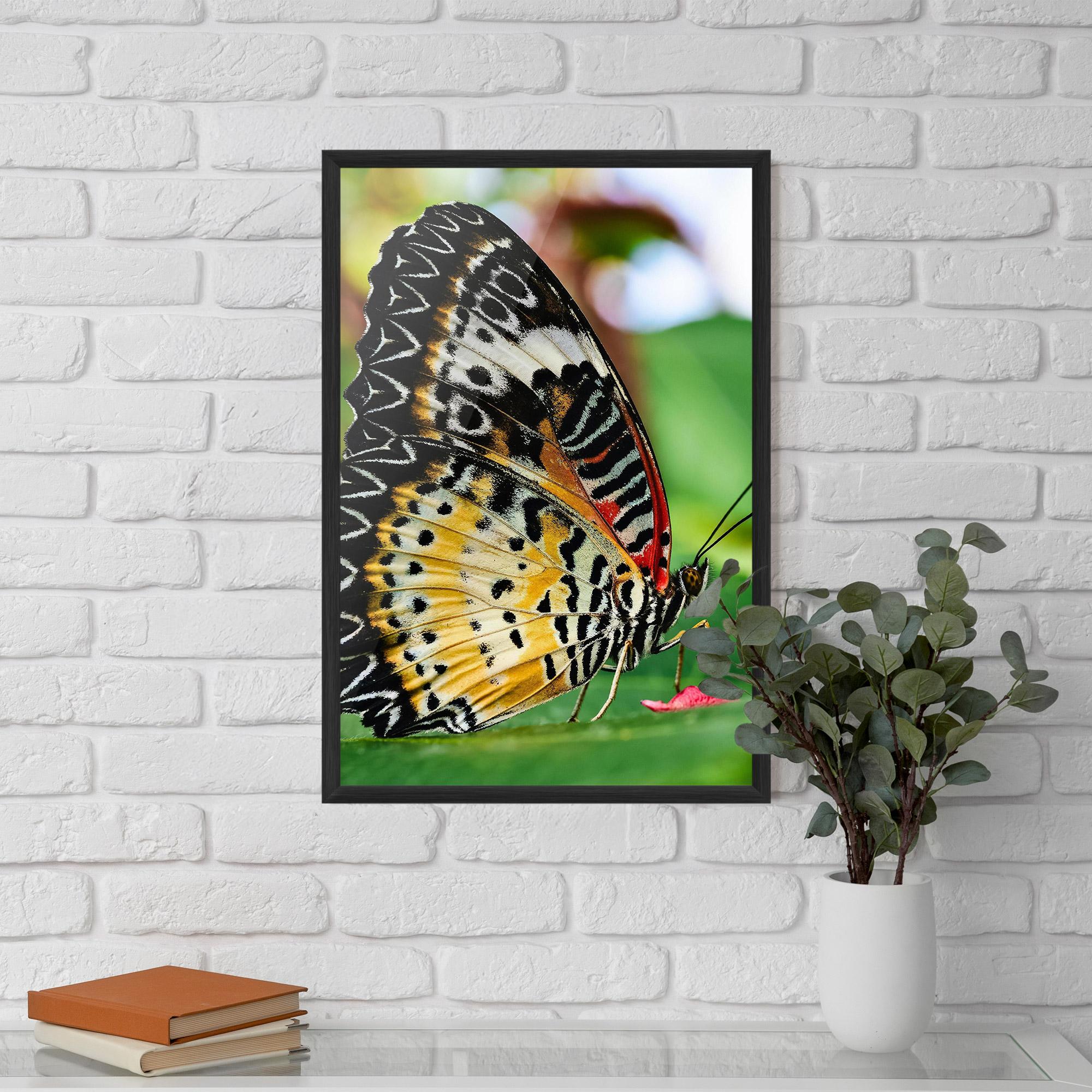 Poster Înrămat Pretty Colorful Butterfly mockup 5