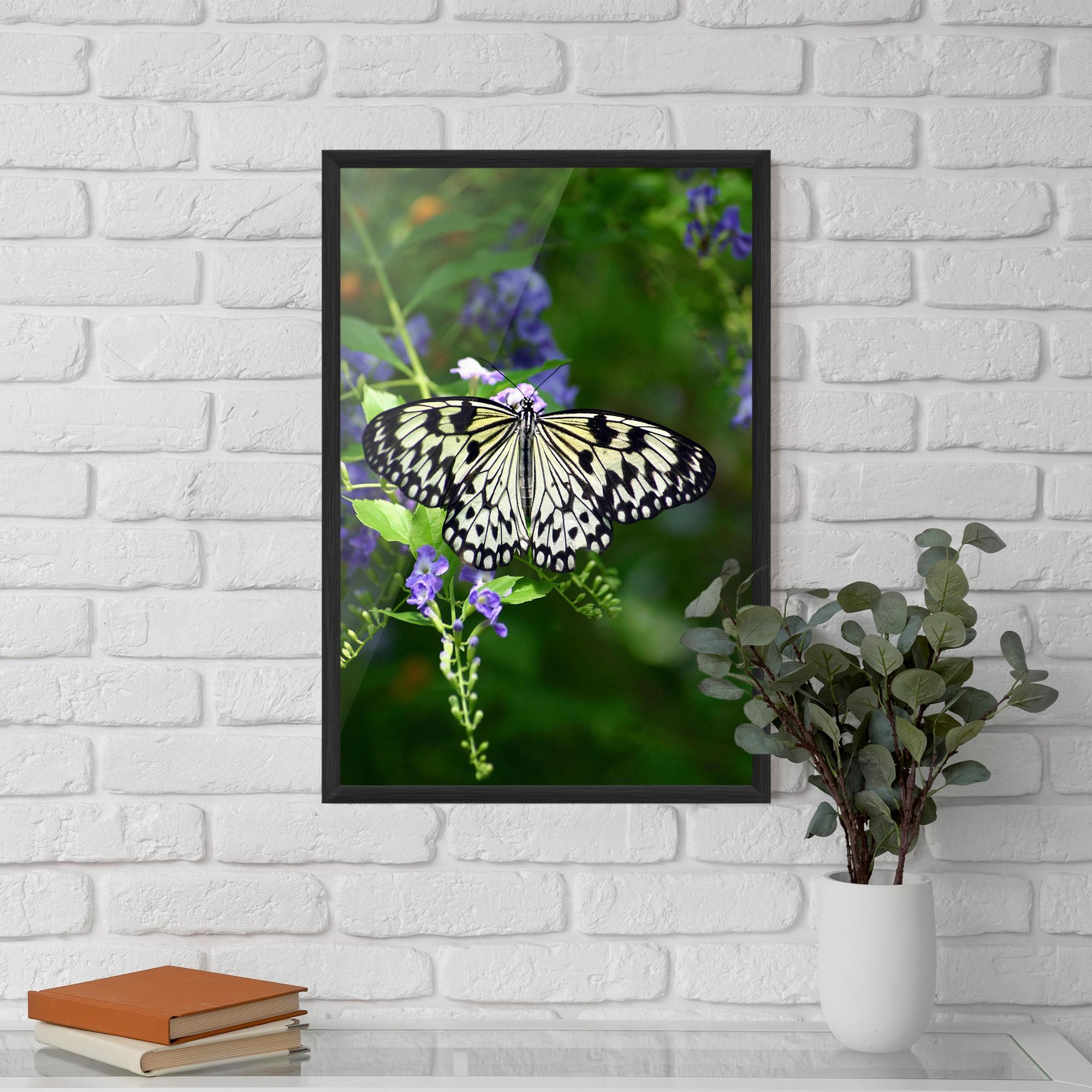 Poster Înrămat Pretty White Butterfly mockup 5